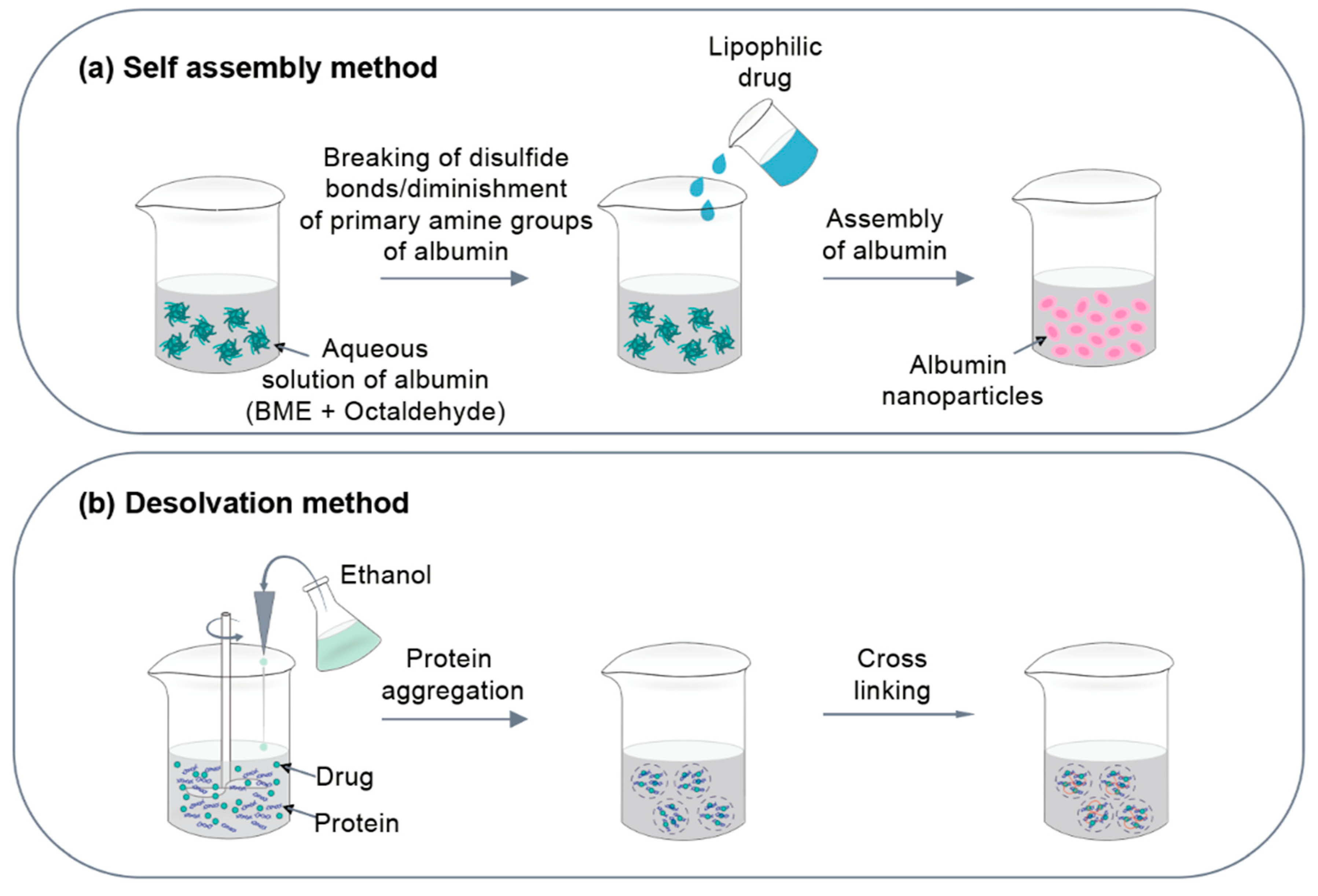 Individual method. Protein Nanoparticles. Nanoparticle based Protein. Method Syntez nanpoarticles. Protein based Nanoparticles preparation.