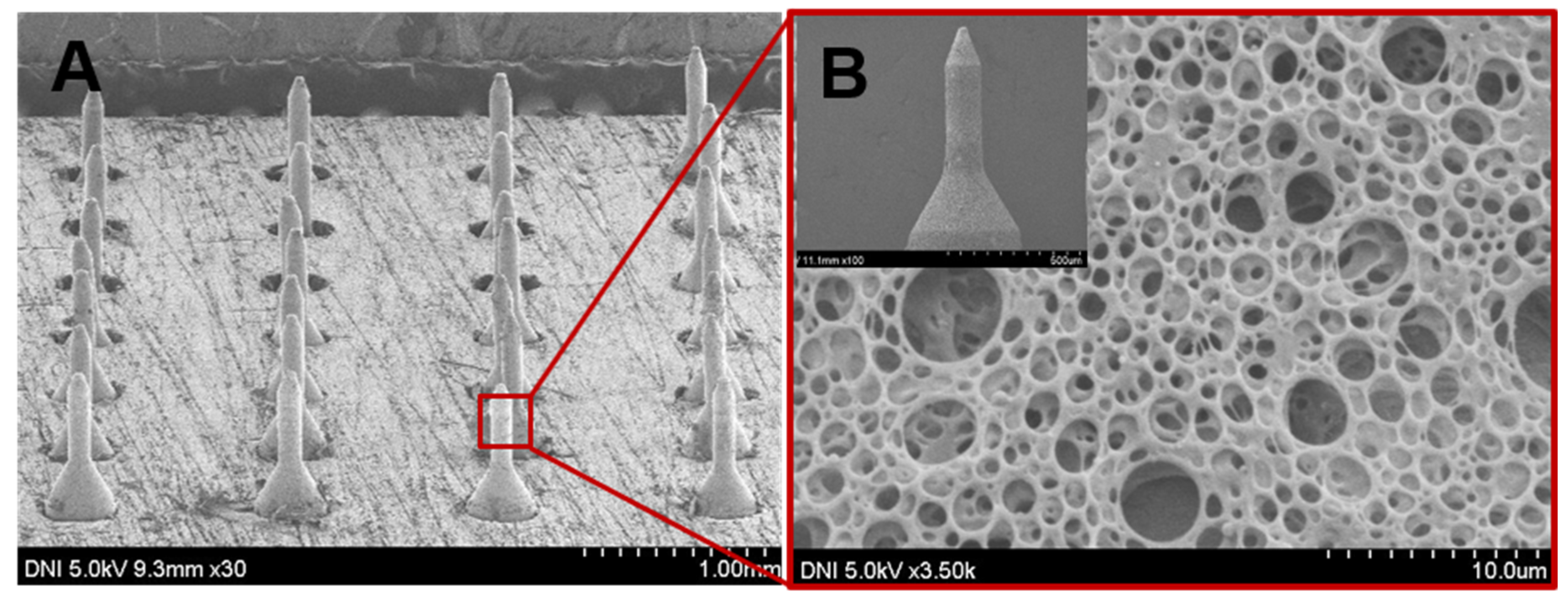 Pharmaceutics 12 00606 g002 Pharmaceutics 12 00606 g002