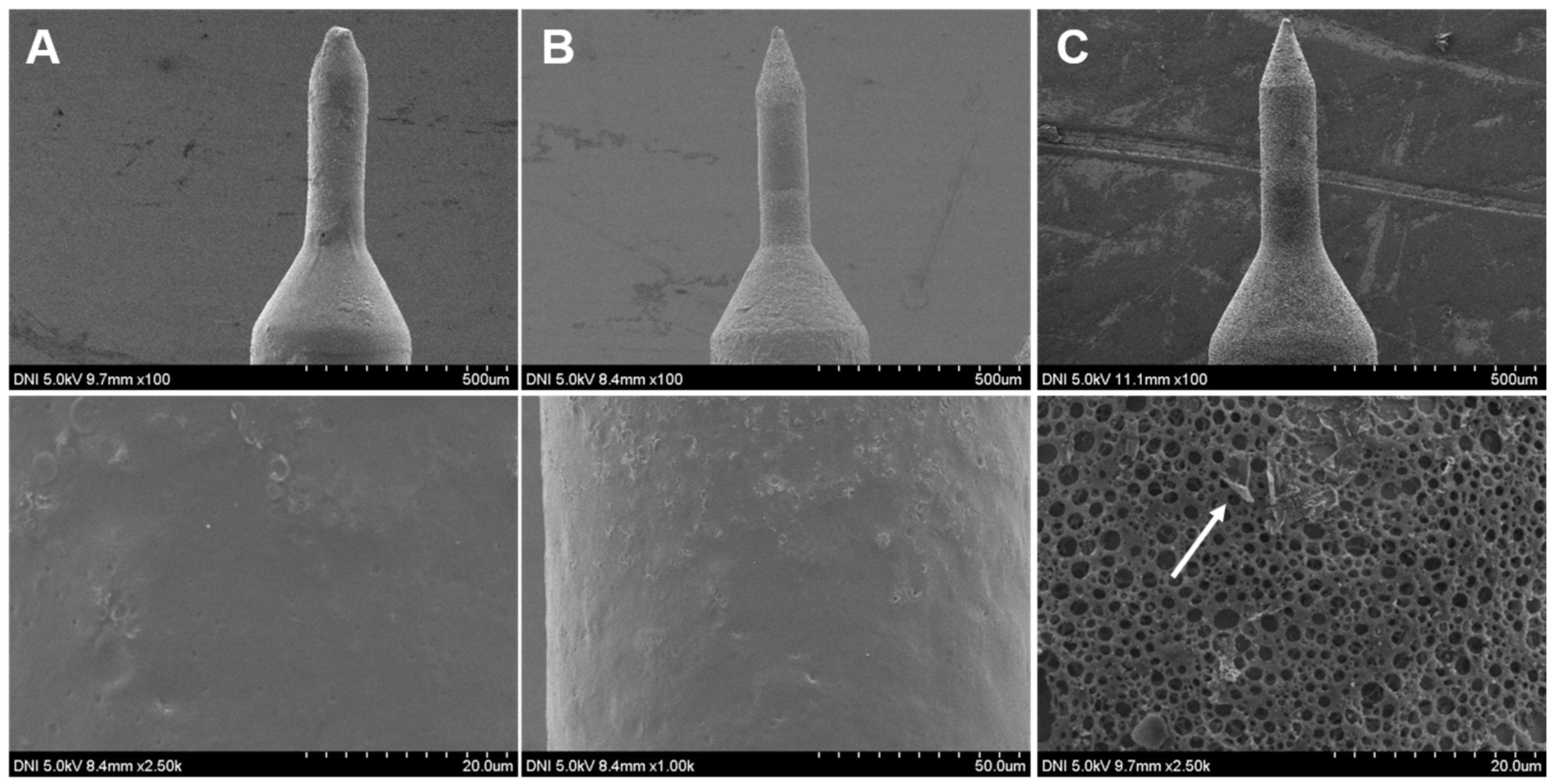 Pharmaceutics 12 00606 g004 Pharmaceutics 12 00606 g004