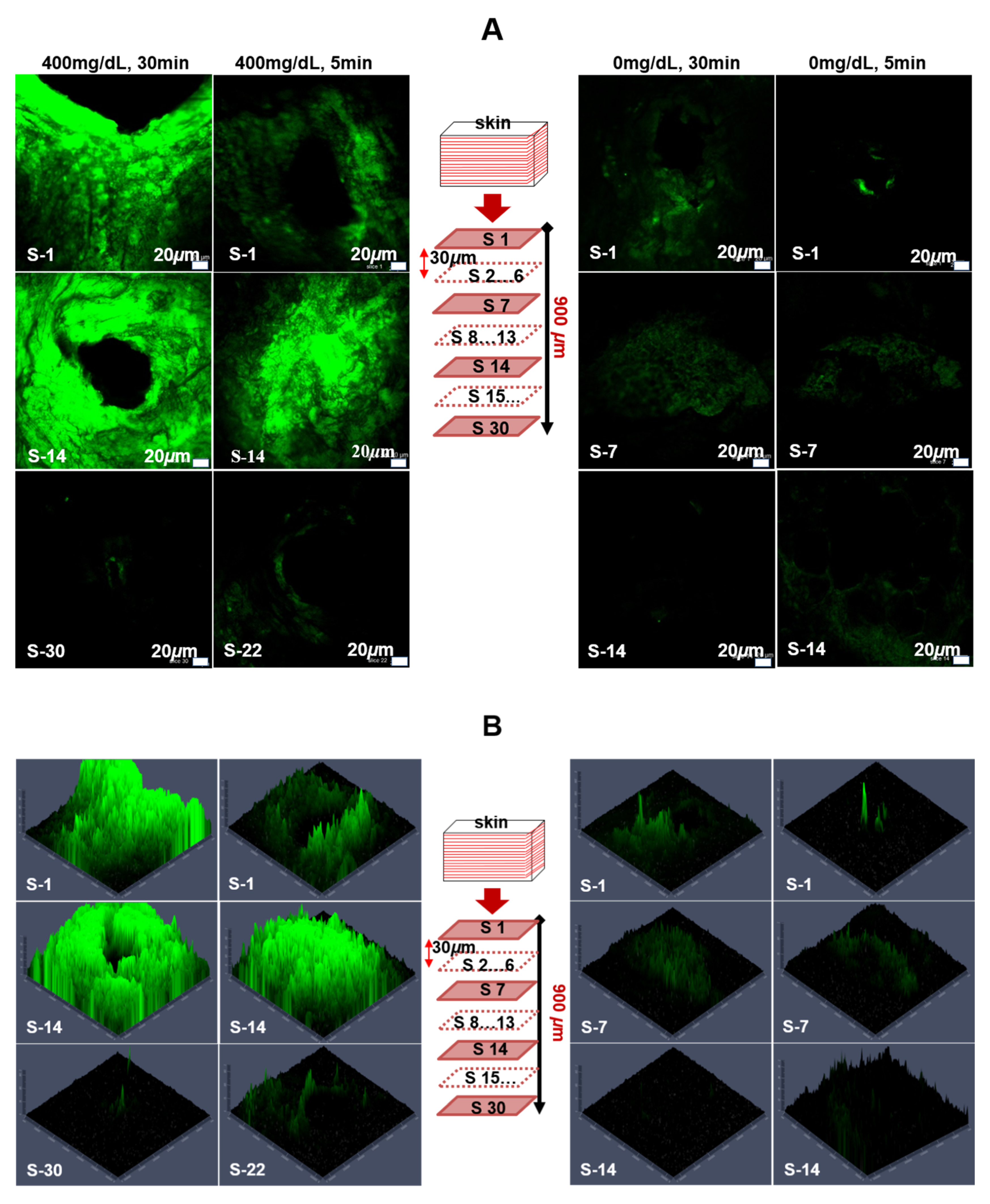 Pharmaceutics 12 00606 g005 Pharmaceutics 12 00606 g005