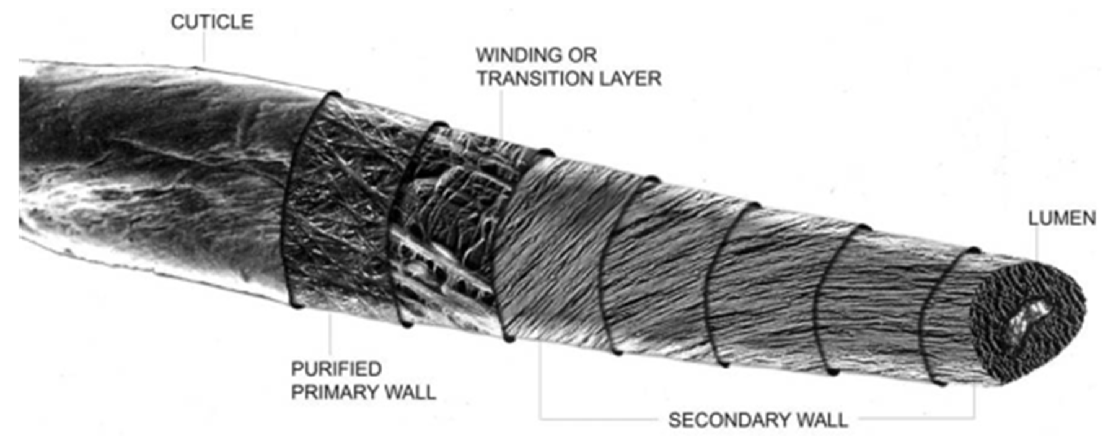 Pharmaceutics 12 00609 g001 Pharmaceutics 12 00609 g001