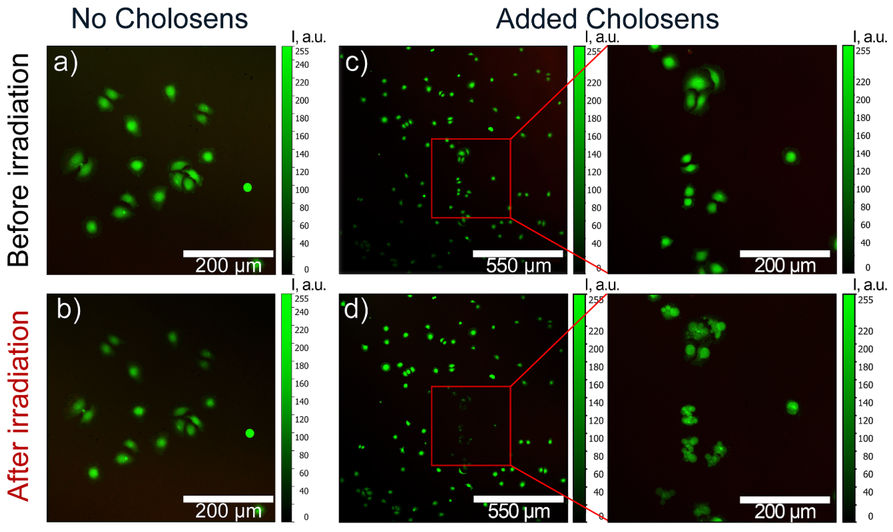 Pharmaceutics 12 00610 g008 Pharmaceutics 12 00610 g008