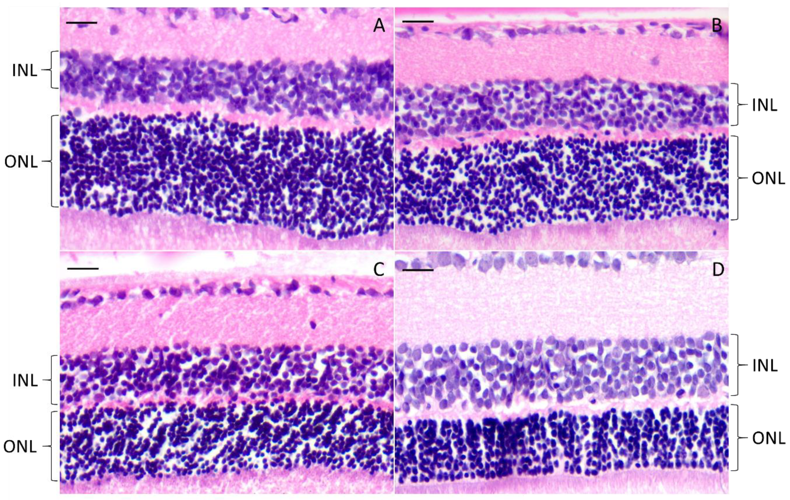 Pharmaceutics 12 00611 g012 Pharmaceutics 12 00611 g012
