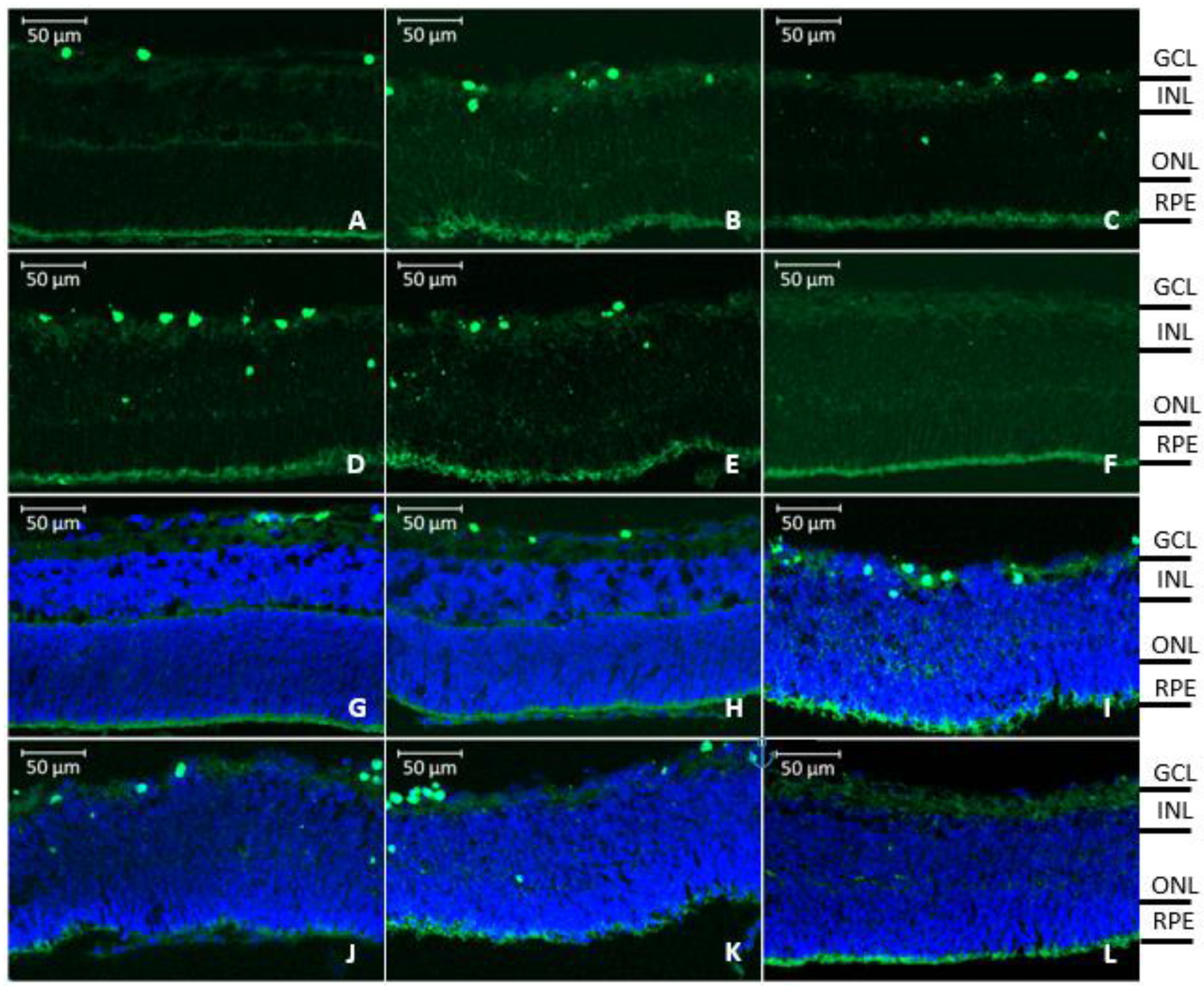 Pharmaceutics 12 00611 g013 Pharmaceutics 12 00611 g013