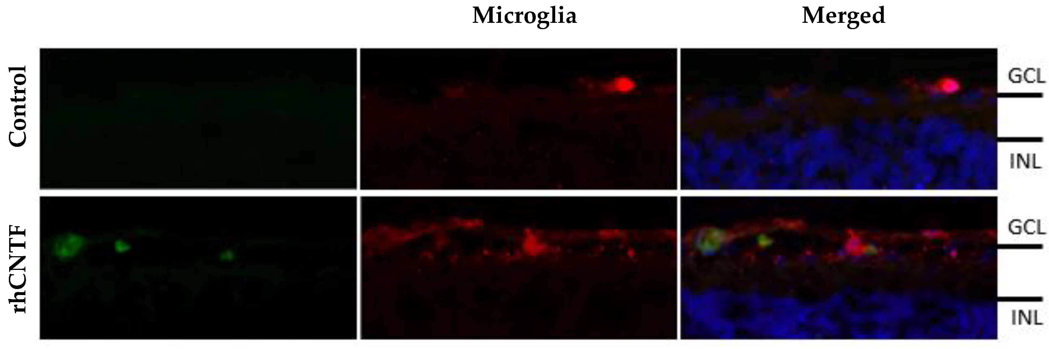 Pharmaceutics 12 00611 g014 Pharmaceutics 12 00611 g014