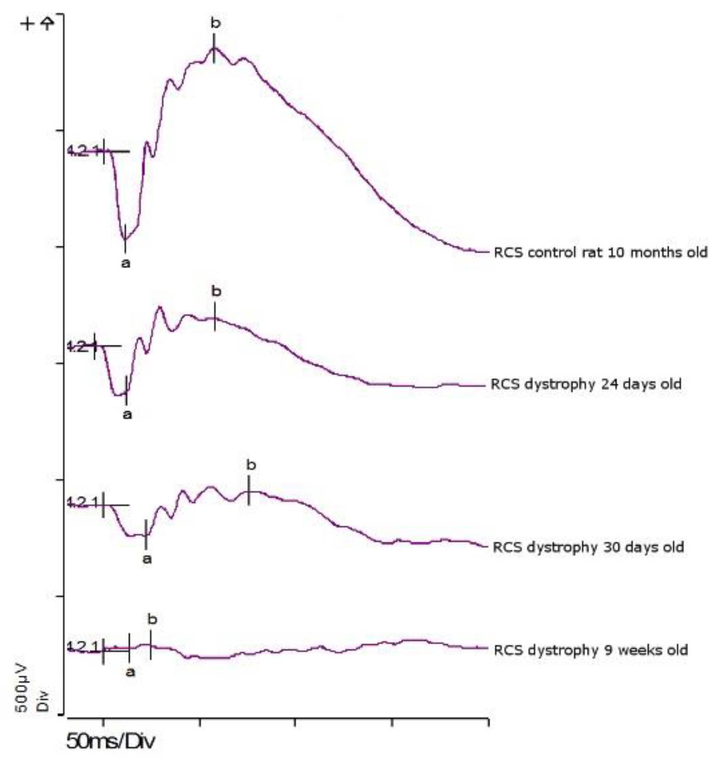 Pharmaceutics 12 00611 g016 Pharmaceutics 12 00611 g016