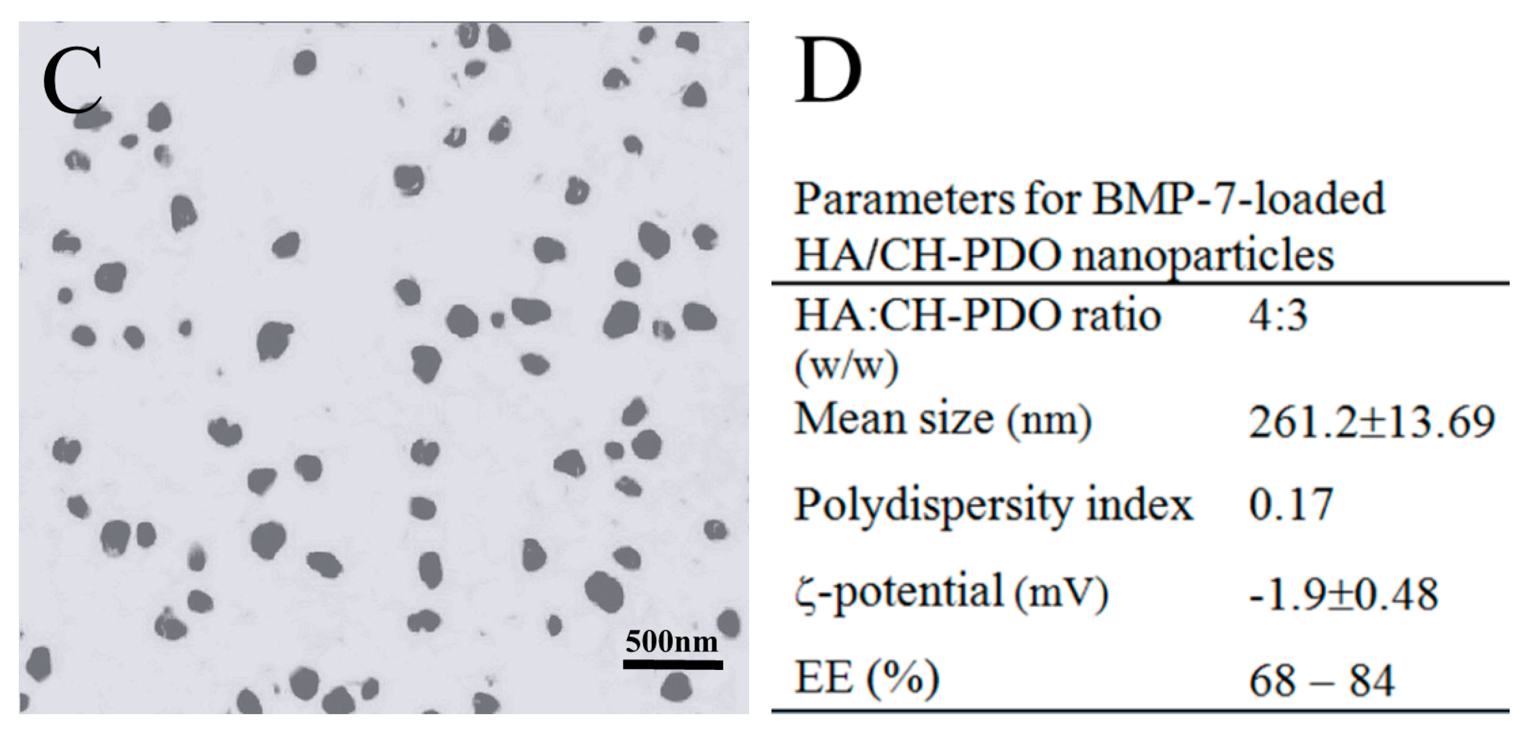 Pharmaceutics 12 00613 g001b Pharmaceutics 12 00613 g001b