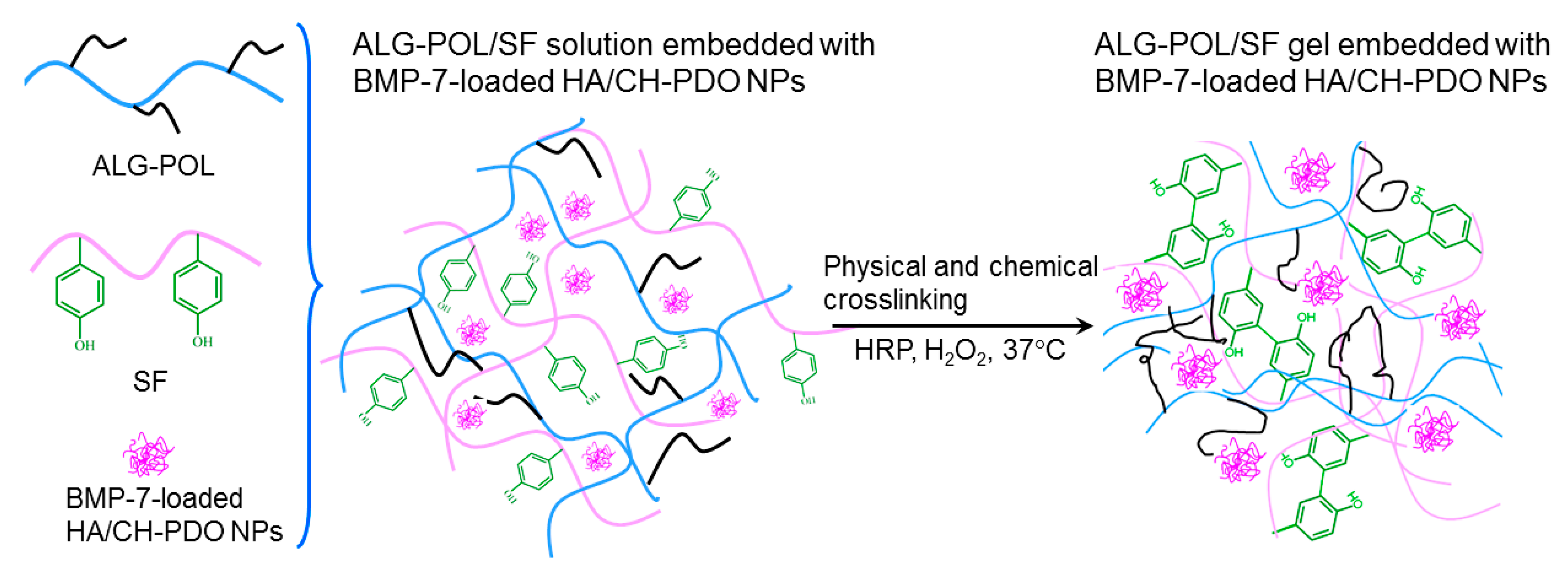 Pharmaceutics 12 00613 g002 Pharmaceutics 12 00613 g002