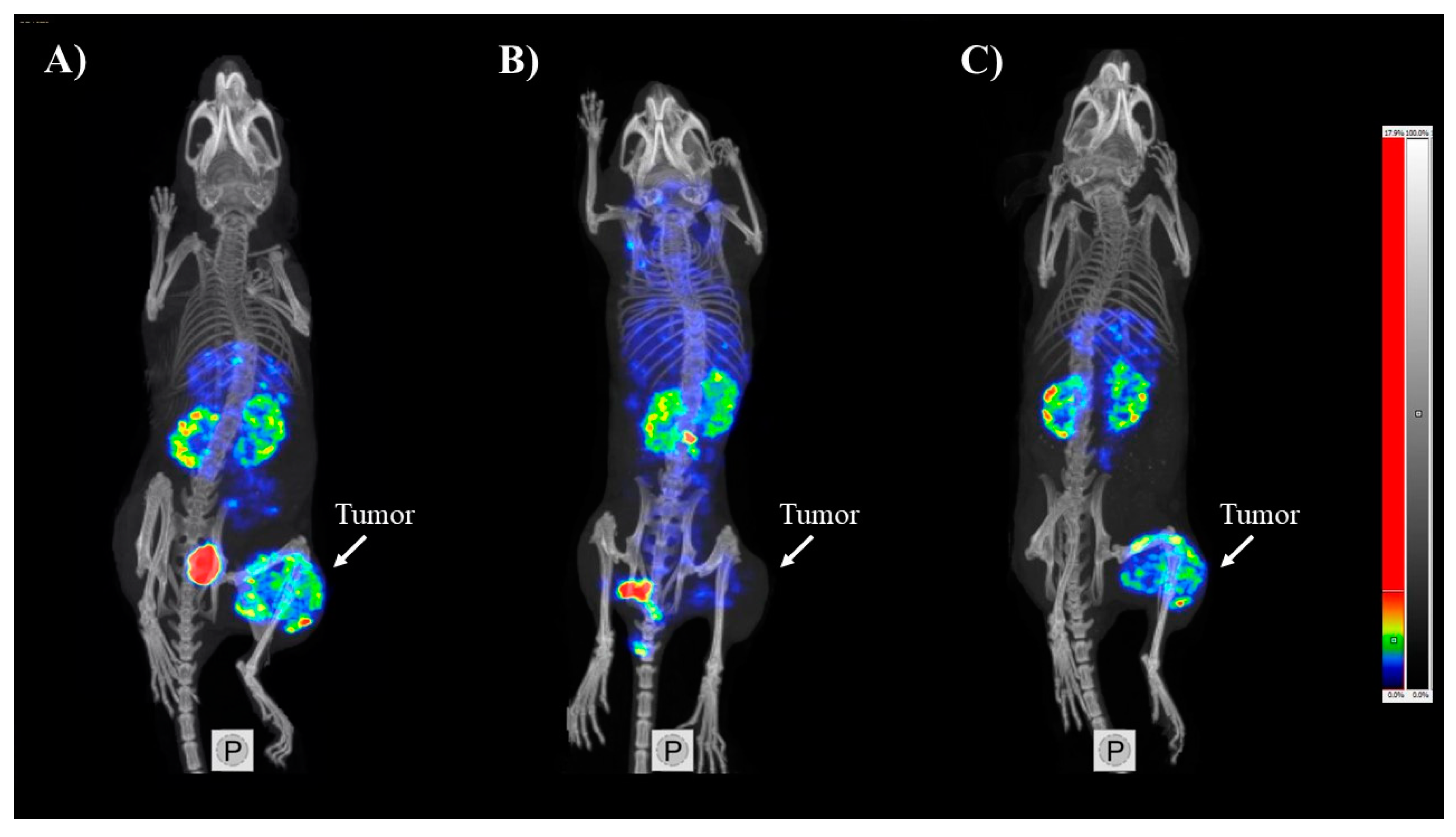 Pharmaceutics 12 00614 g005