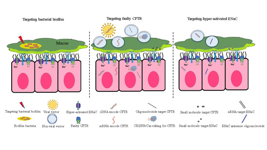 Pharmaceutics Free Full Text Cystic Fibrosis Overview Of The Current Development Trends And Innovative Therapeutic Strategies Html