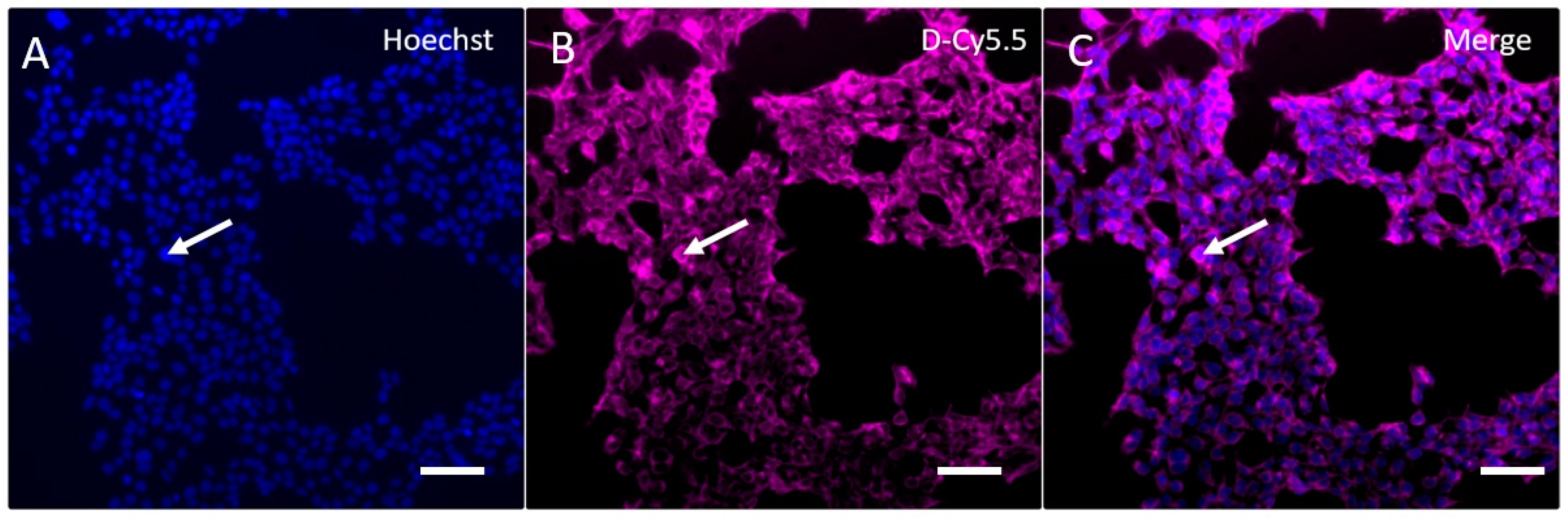 Pharmaceutics 12 00619 g008 Pharmaceutics 12 00619 g008