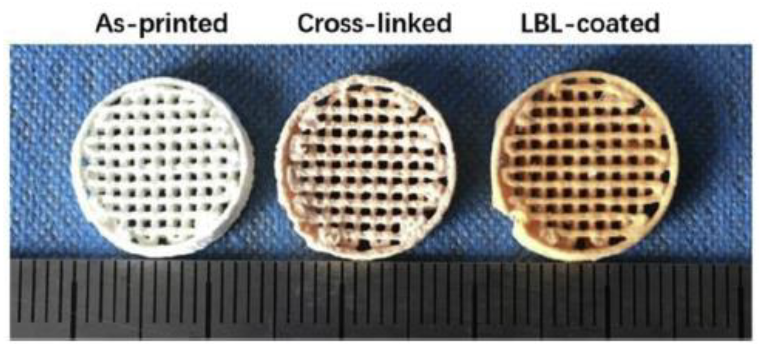 Pharmaceutics 12 00620 g004 Pharmaceutics 12 00620 g004