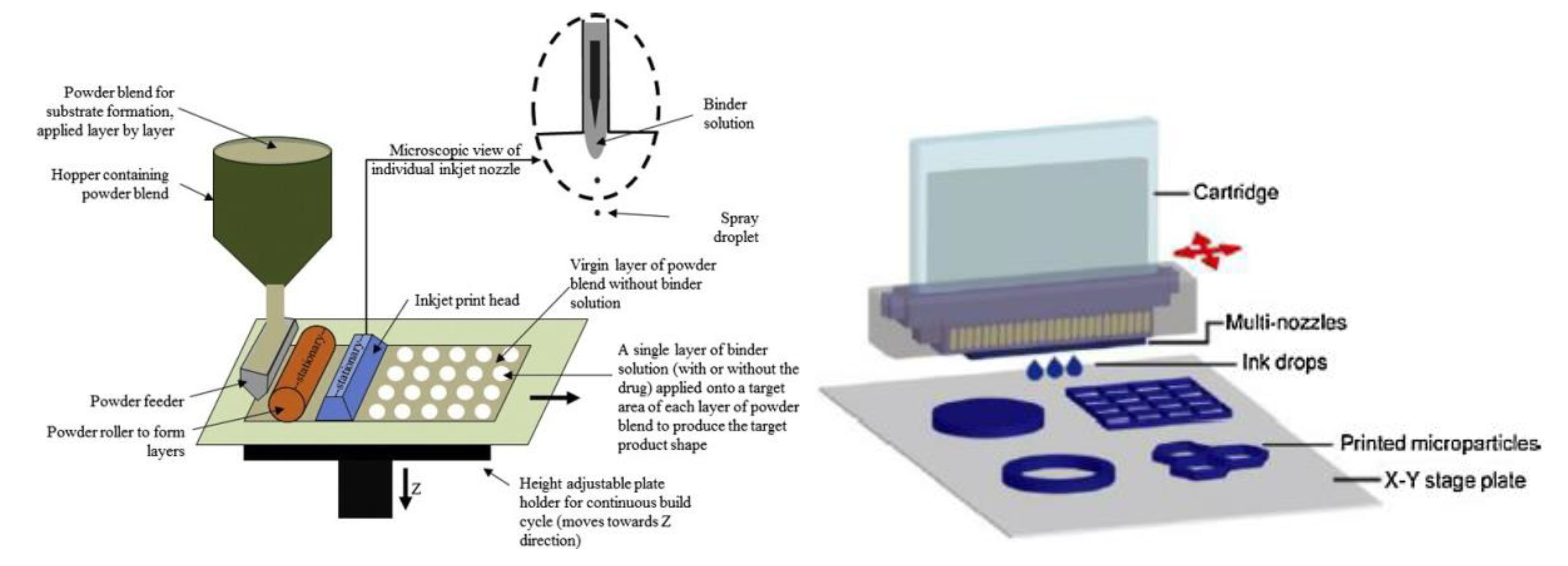 Pharmaceutics 12 00620 g006 Pharmaceutics 12 00620 g006