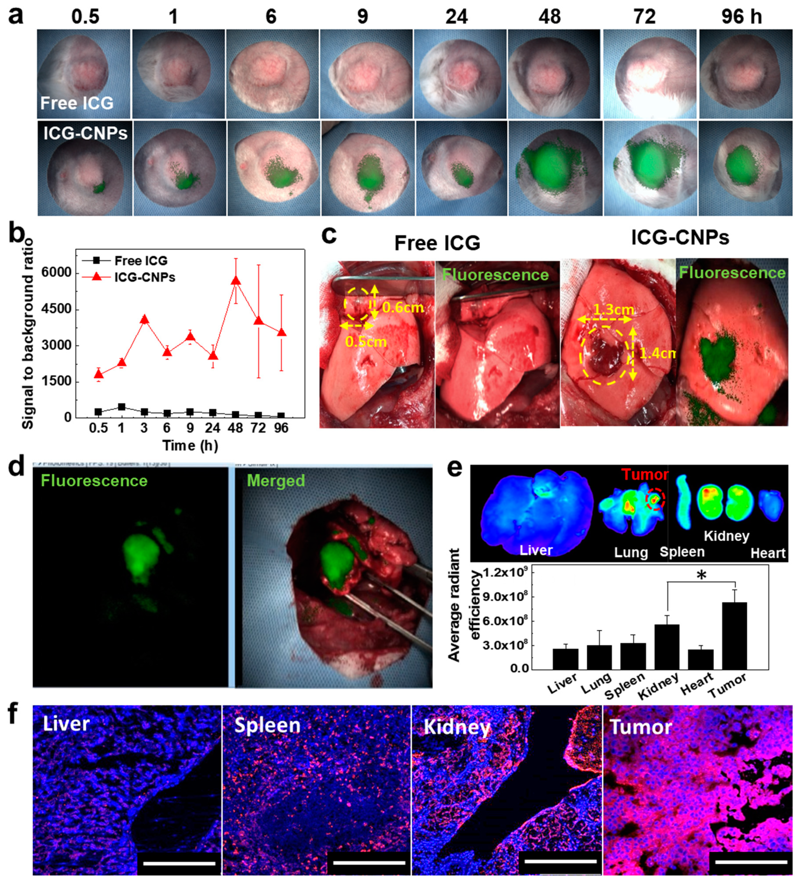 Pharmaceutics 12 00621 g005 Pharmaceutics 12 00621 g005