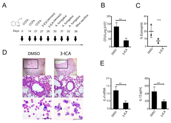 pharmaceutics free full text postbiotic enabled targeting of the host microbiota pathogen interface hints of antibiotic decline html
