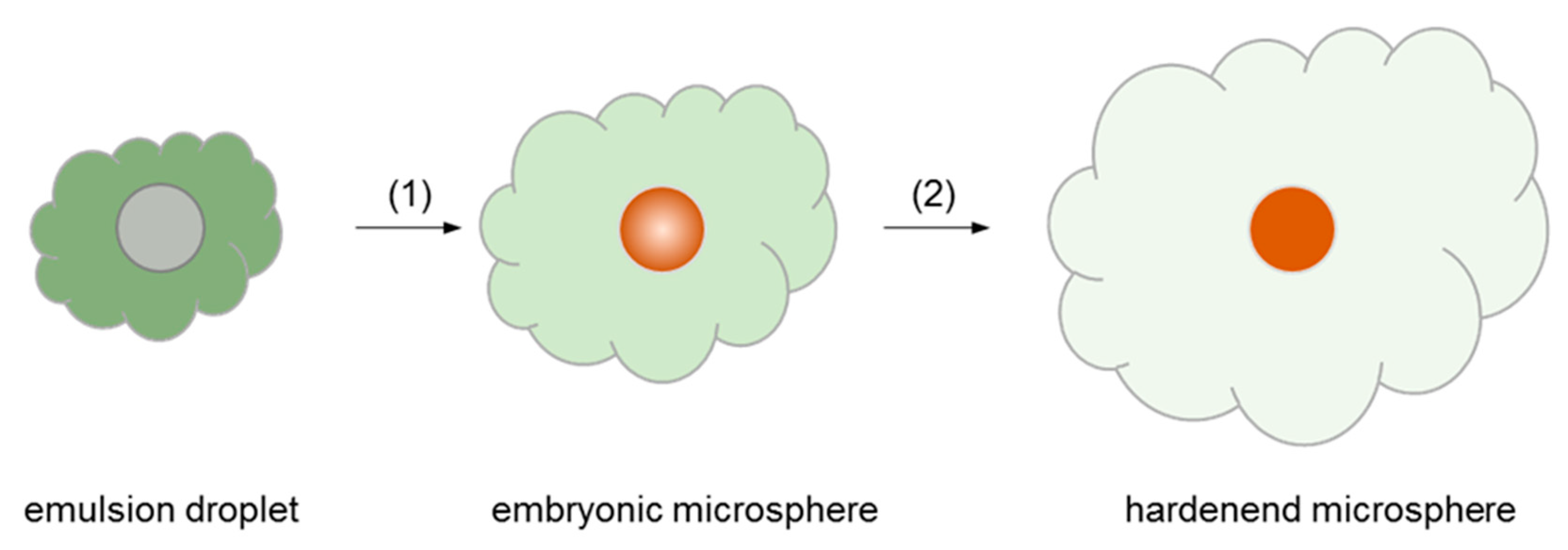Pharmaceutics 12 00626 g001