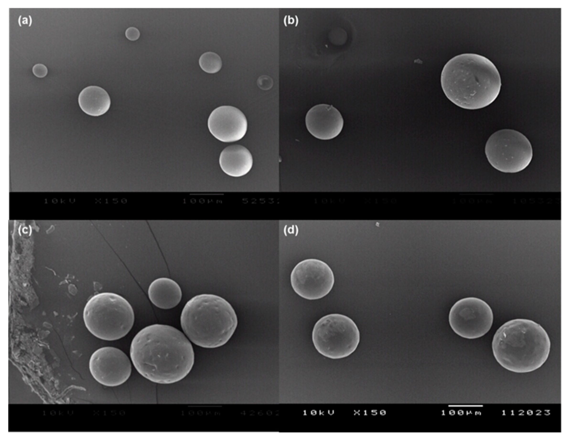 Pharmaceutics 12 00626 g003
