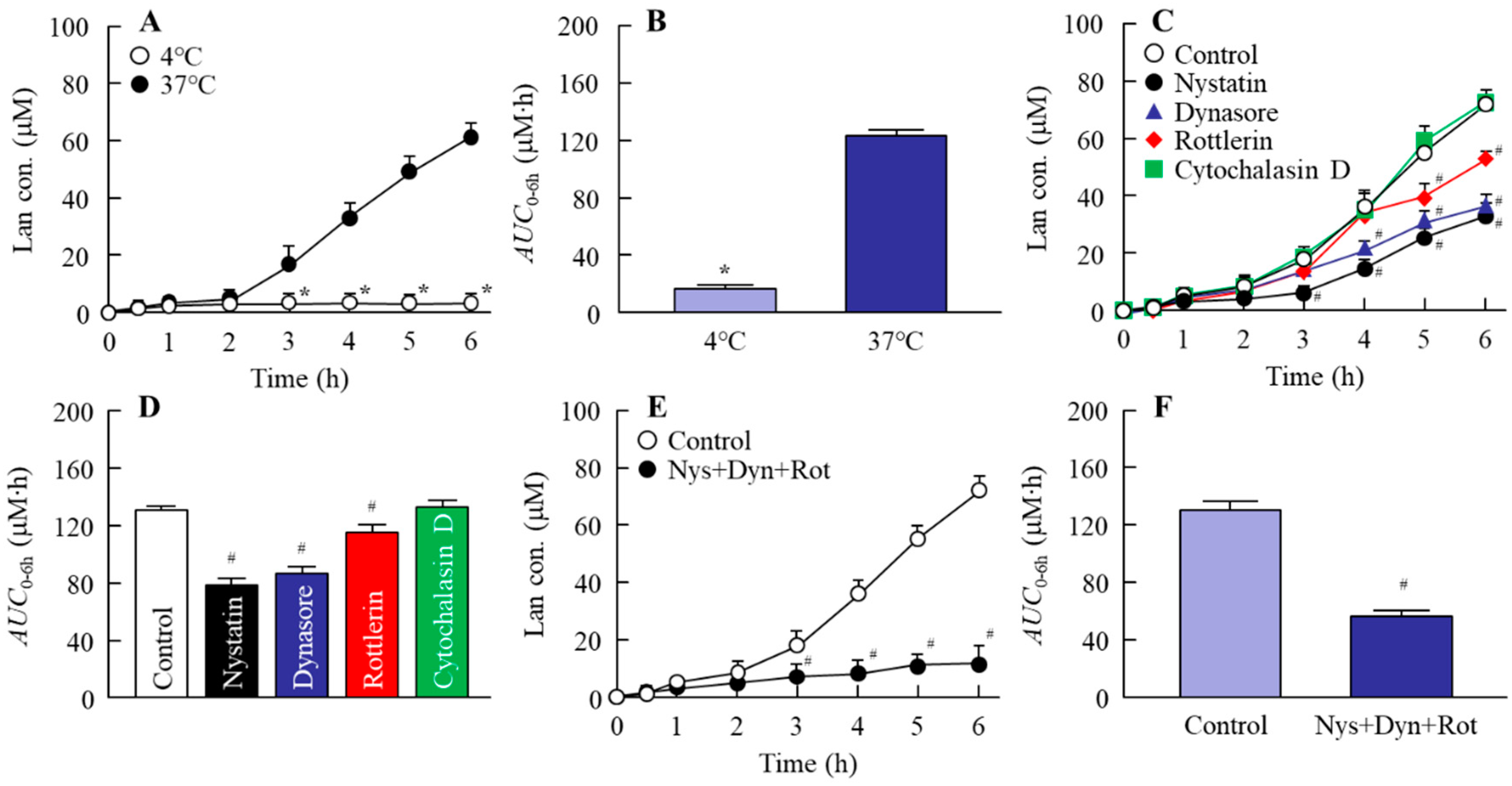Pharmaceutics 12 00629 g003 Pharmaceutics 12 00629 g003