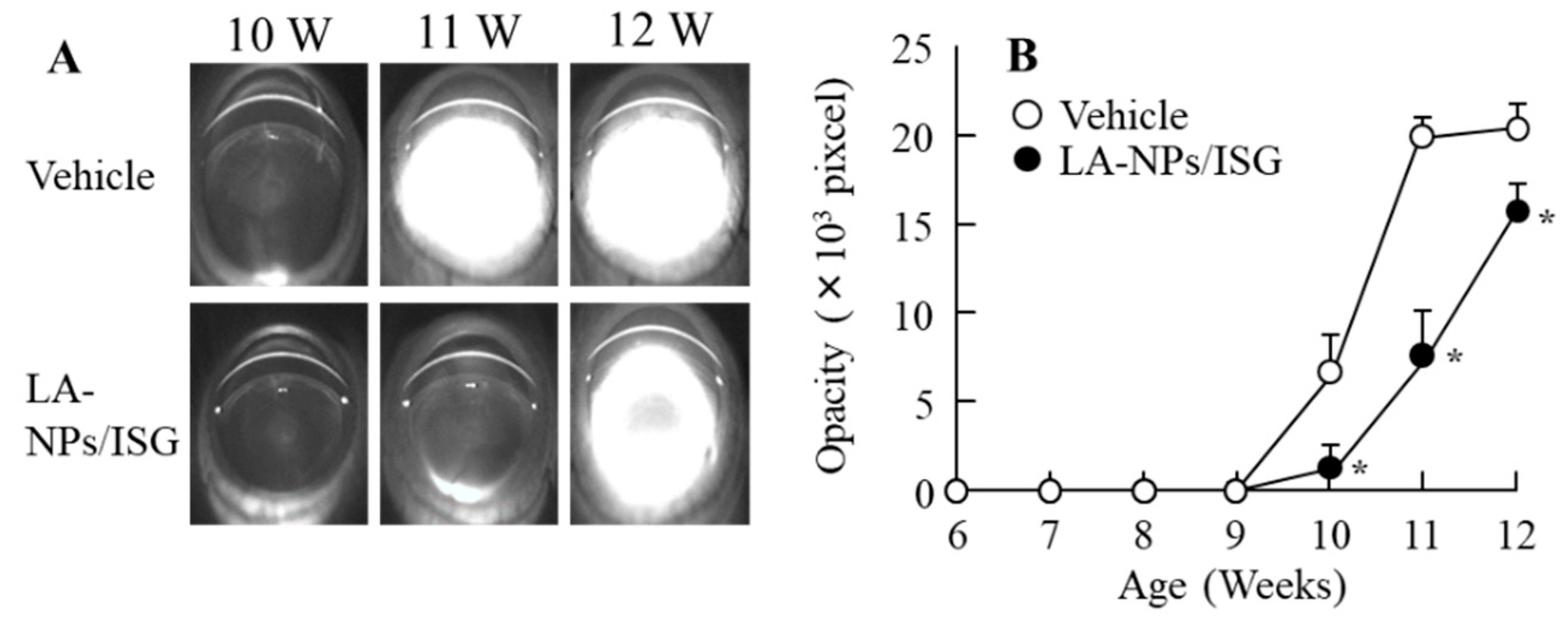 Pharmaceutics 12 00629 g006 Pharmaceutics 12 00629 g006