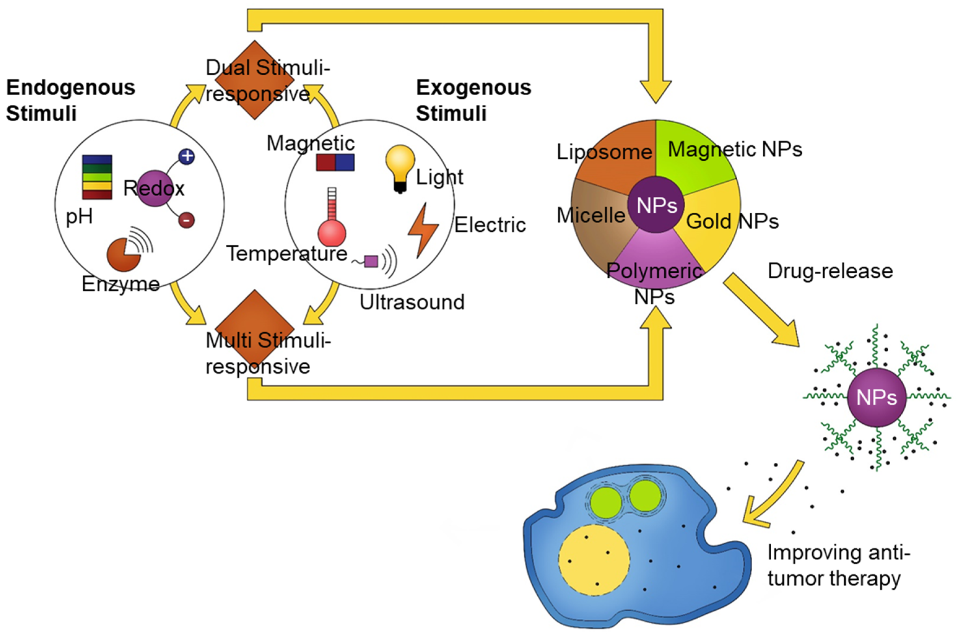 Pharmaceutics 12 00630 g003