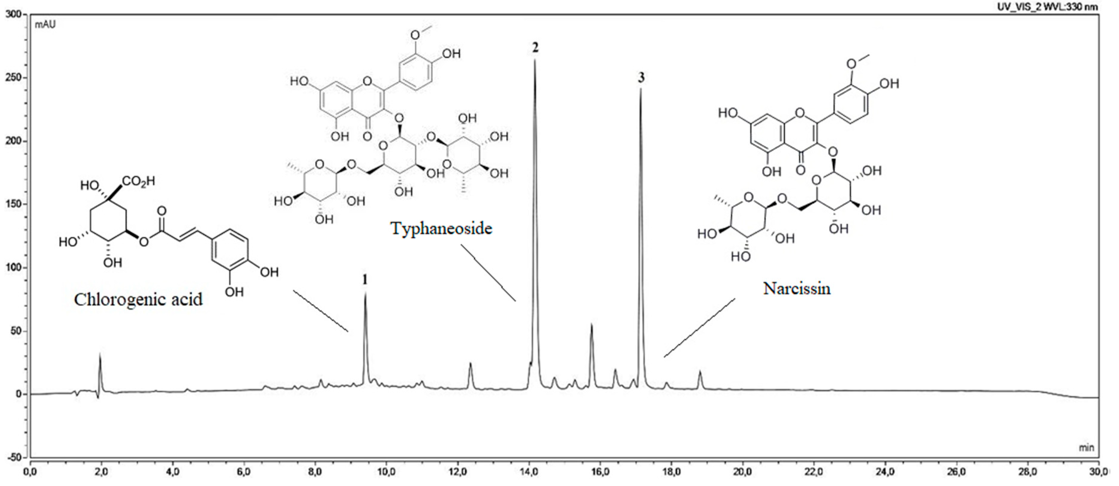 Pharmaceutics 12 00634 g003