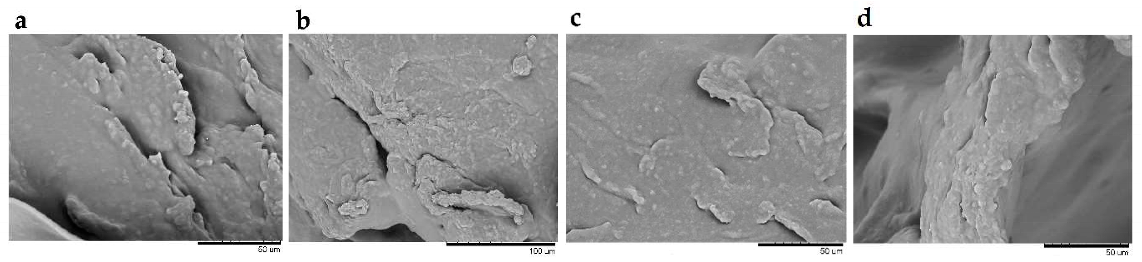 Pharmaceutics 12 00634 g006