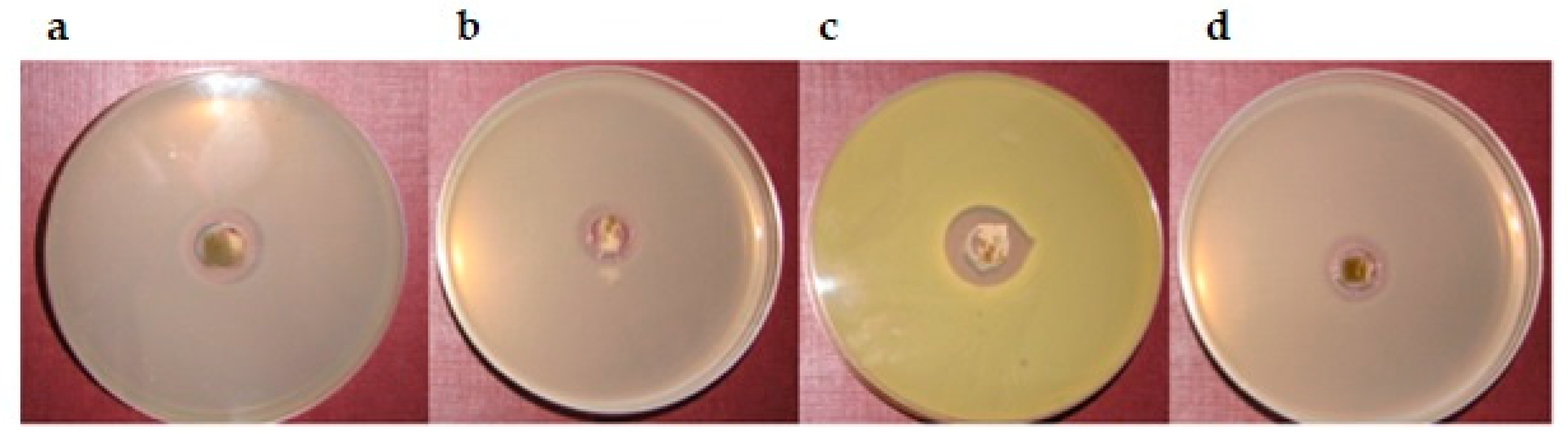 Pharmaceutics 12 00634 g008