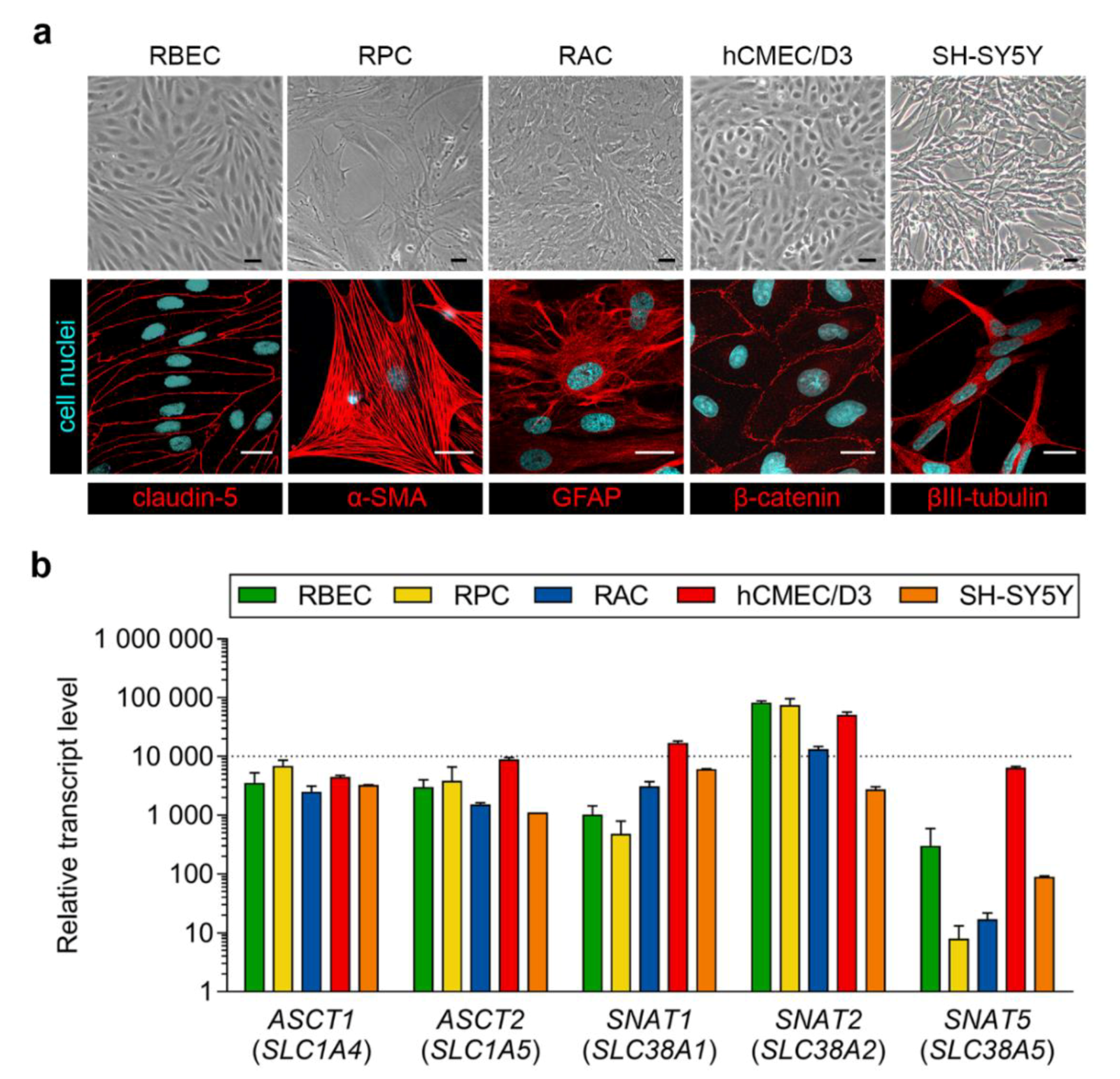 Pharmaceutics 12 00635 g001