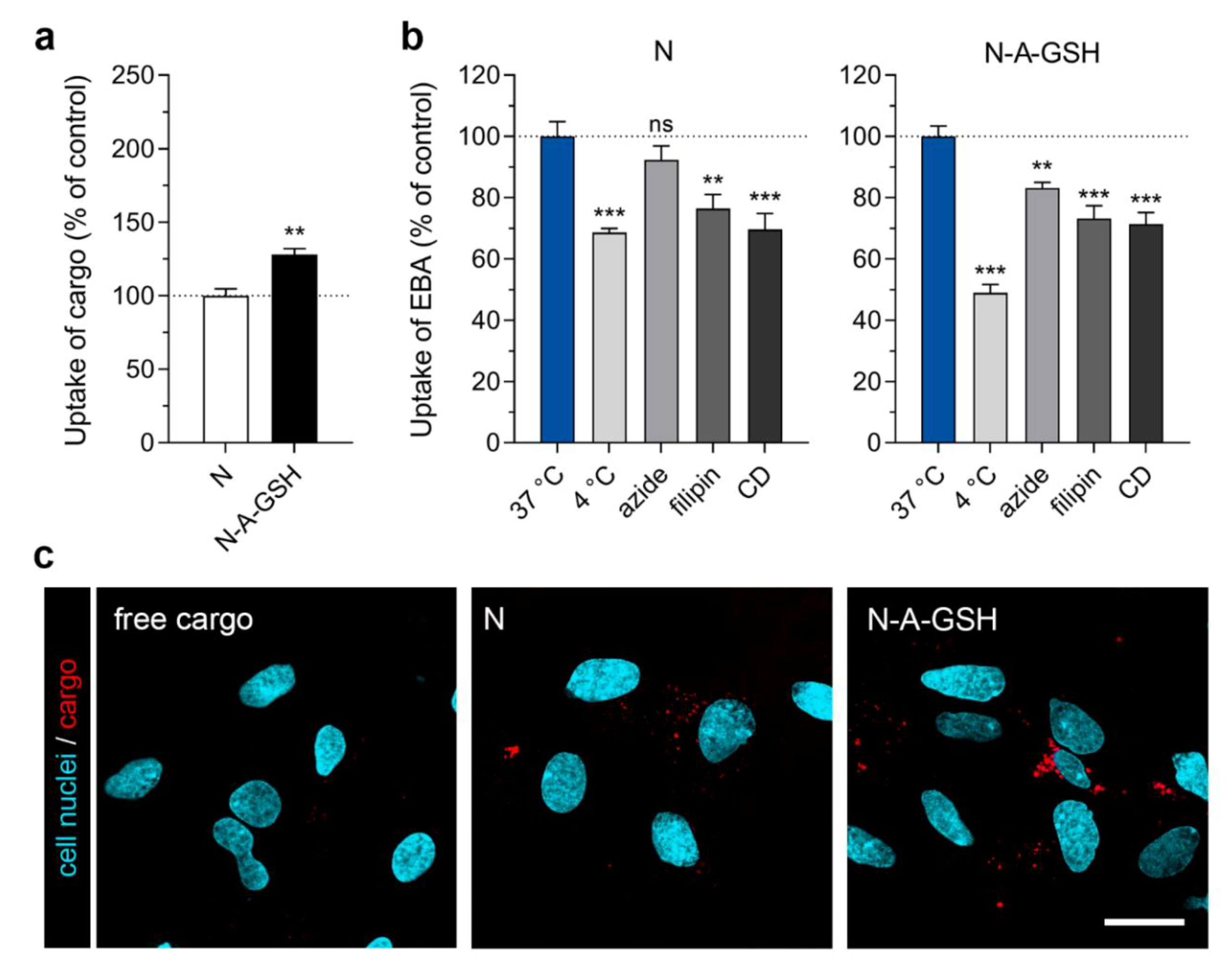 Pharmaceutics 12 00635 g005