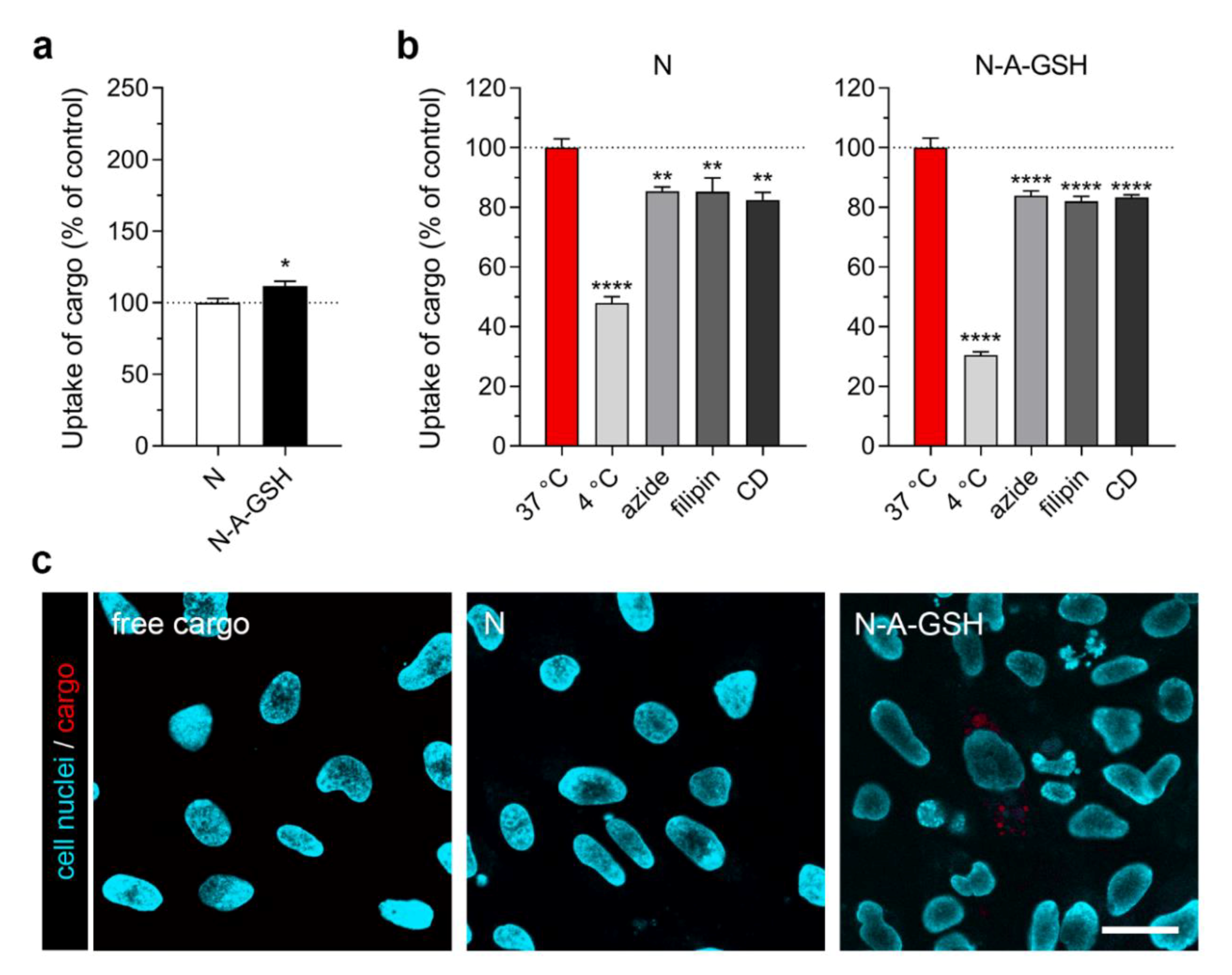 Pharmaceutics 12 00635 g006