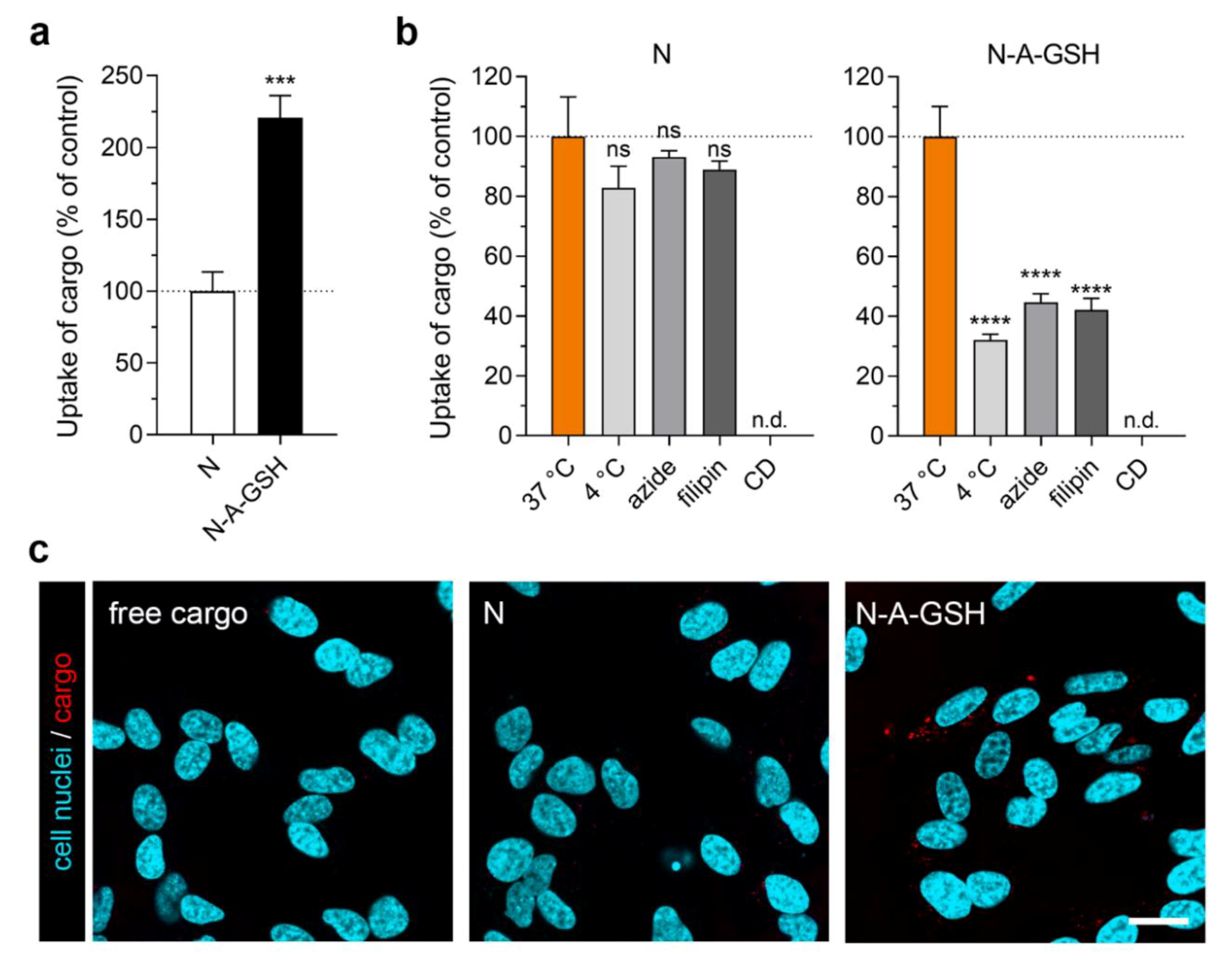 Pharmaceutics 12 00635 g007