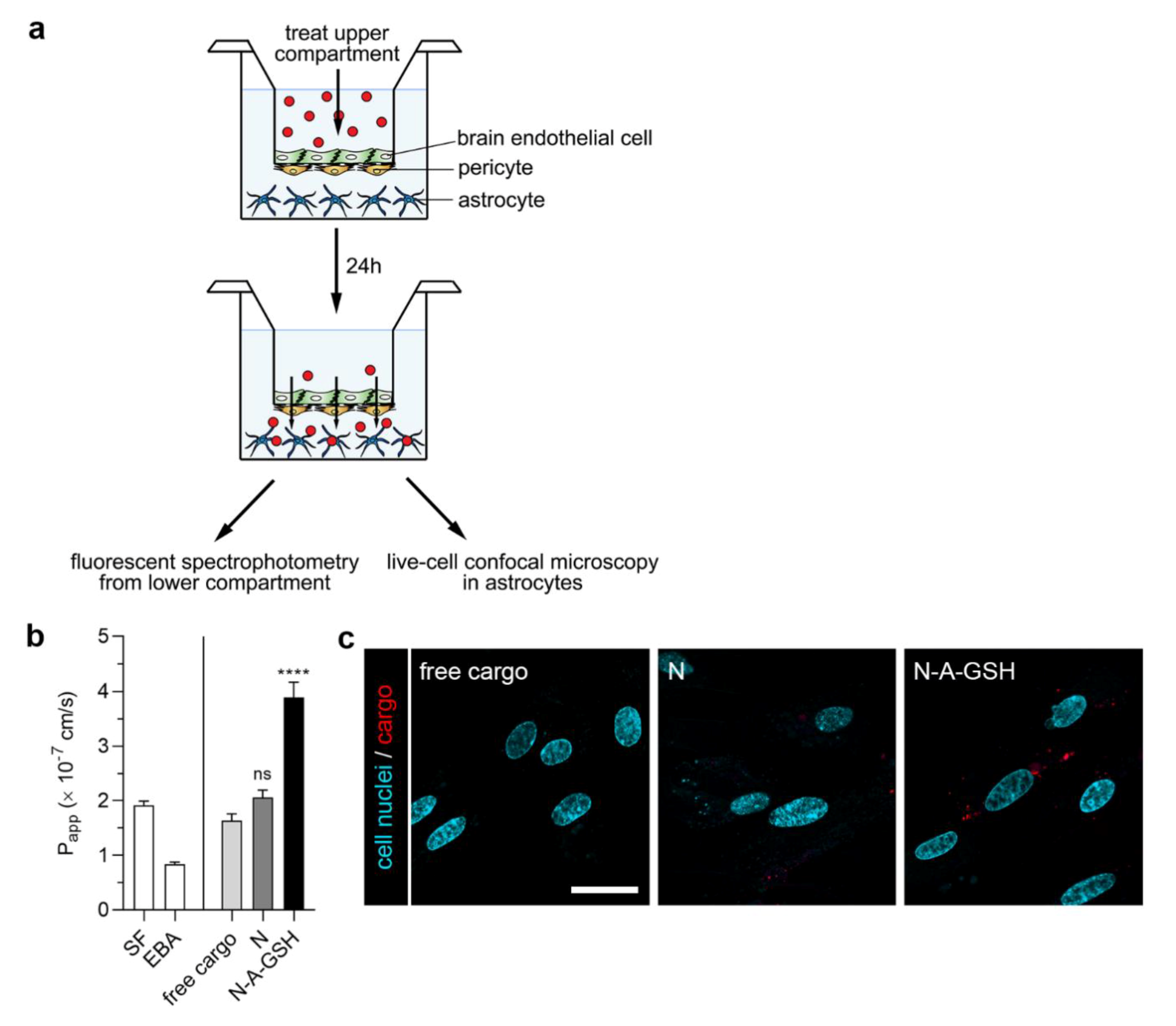 Pharmaceutics 12 00635 g008