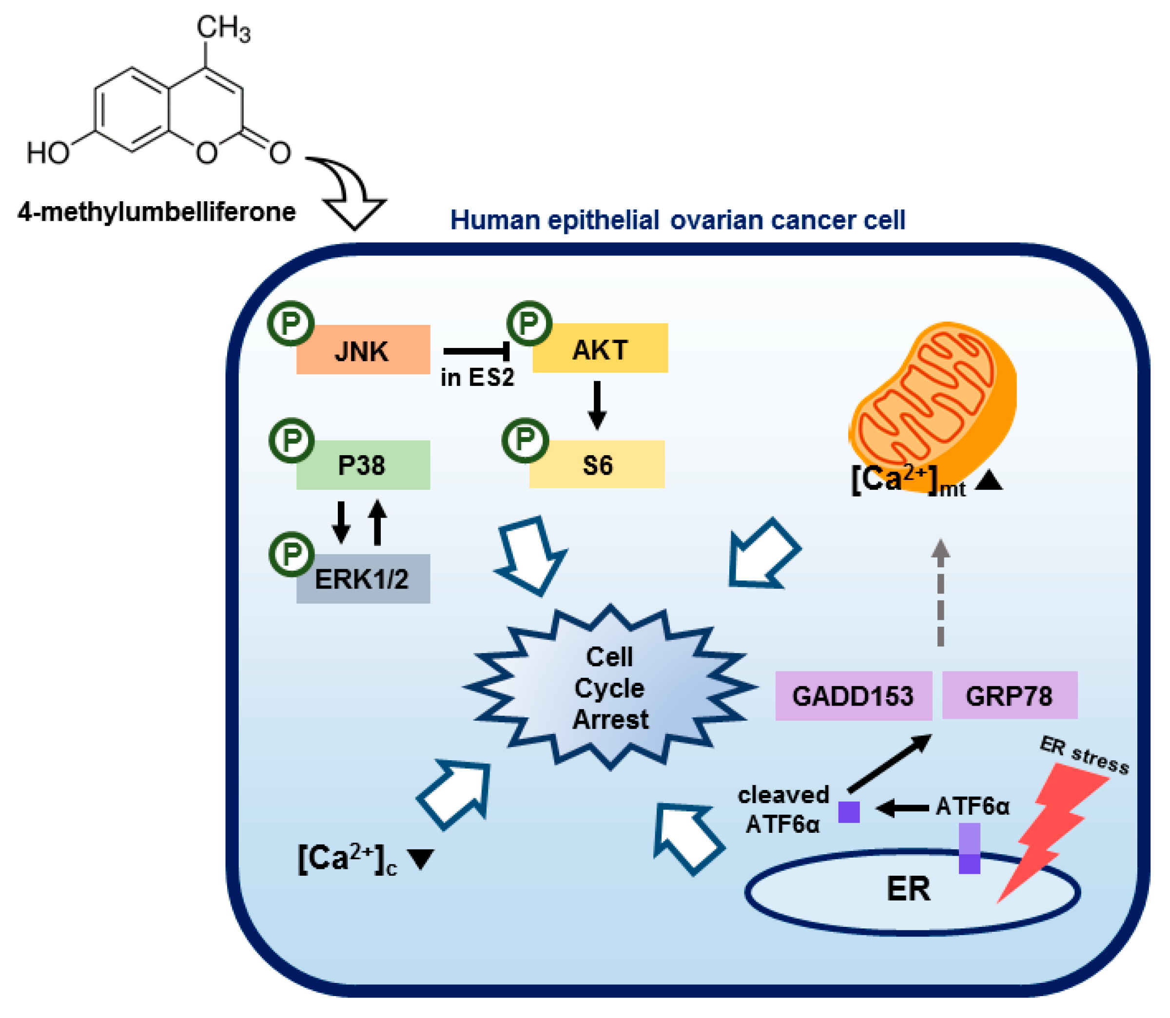 Pharmaceutics 12 00640 g007 Pharmaceutics 12 00640 g007