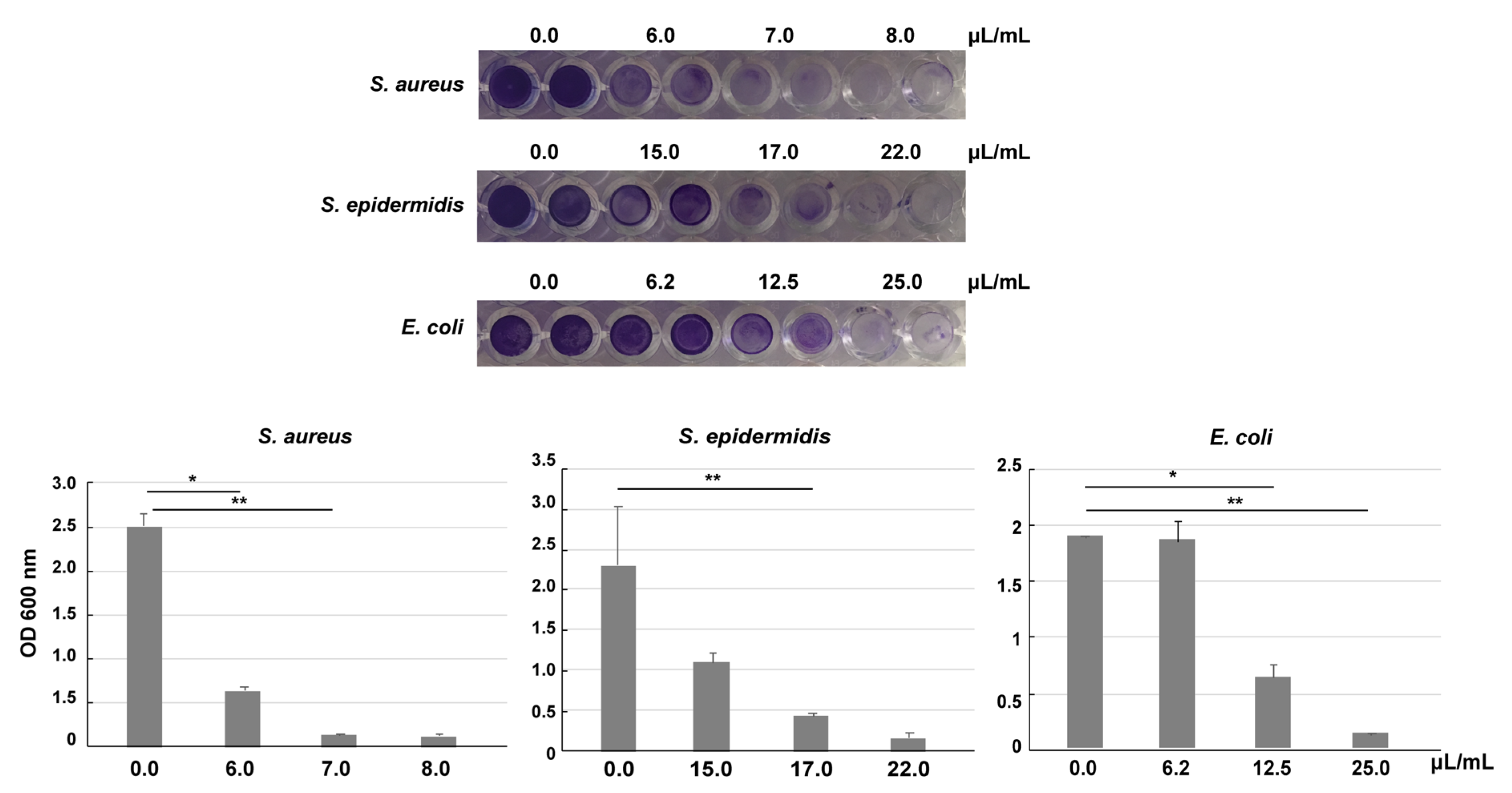 Pharmaceutics 12 00642 g002 Pharmaceutics 12 00642 g002