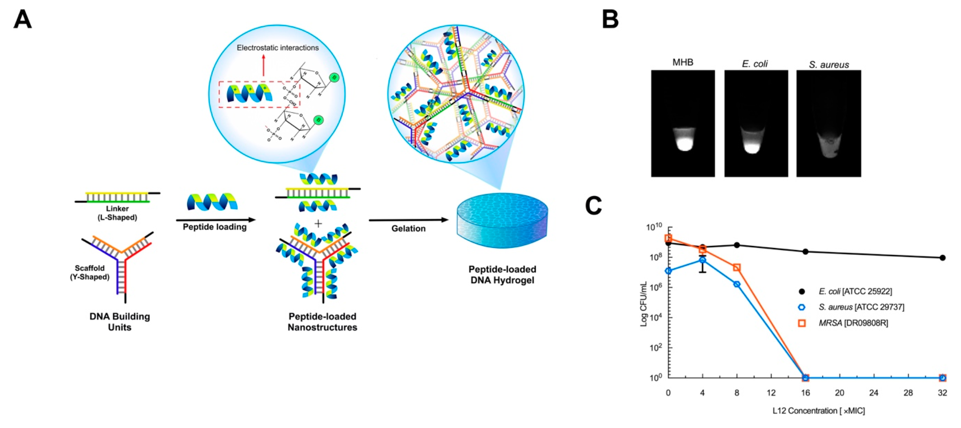 Pharmaceutics 12 00643 g006