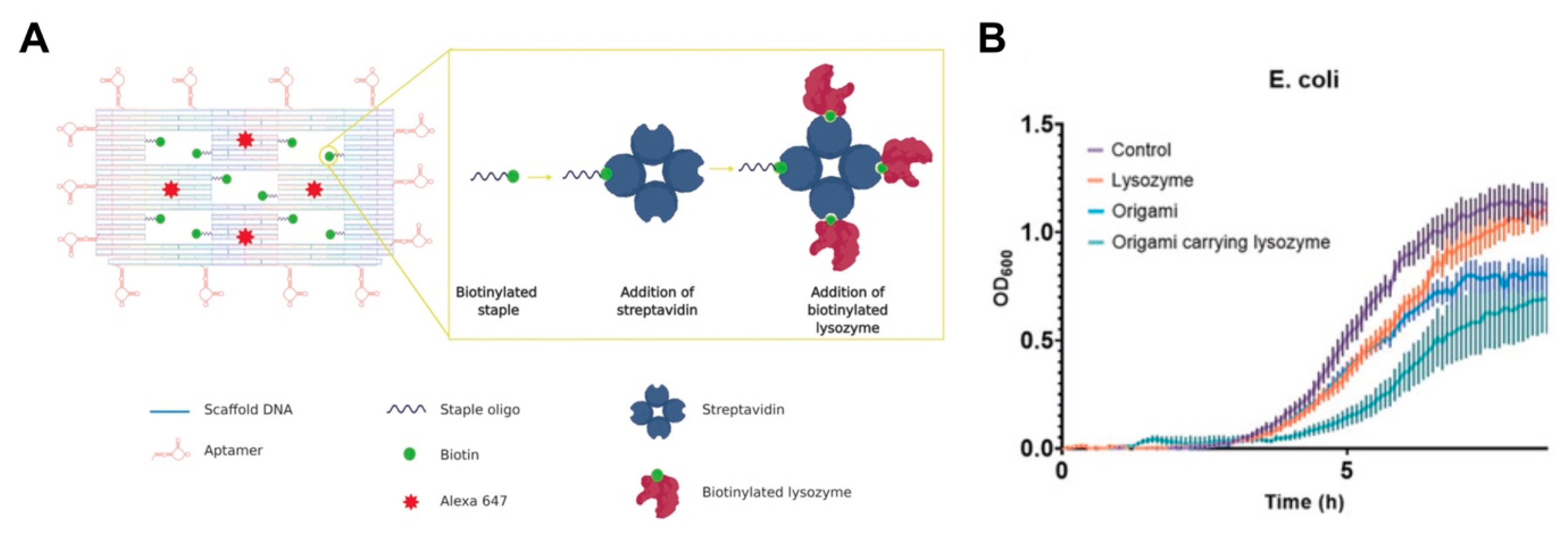 Pharmaceutics 12 00643 g008