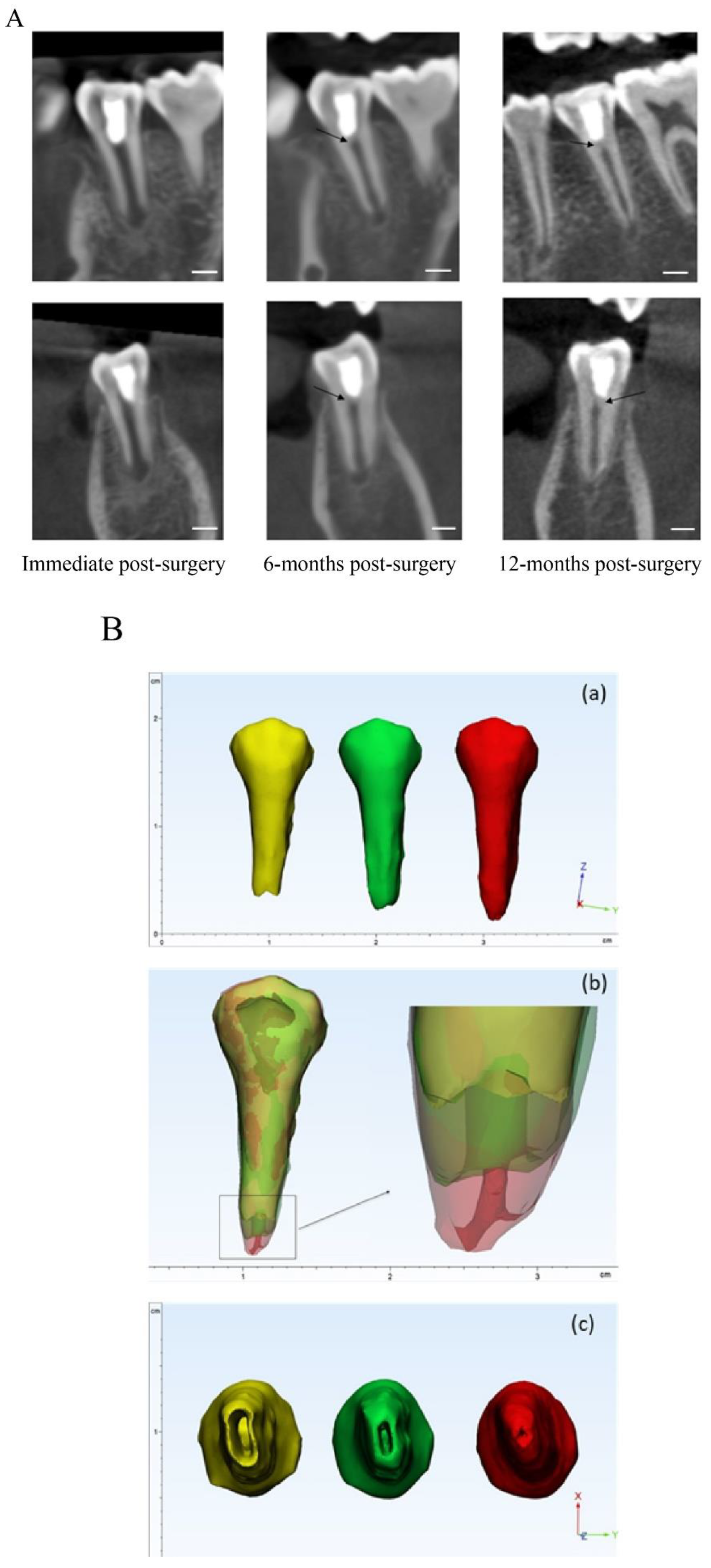 Pharmaceutics 12 00644 g003