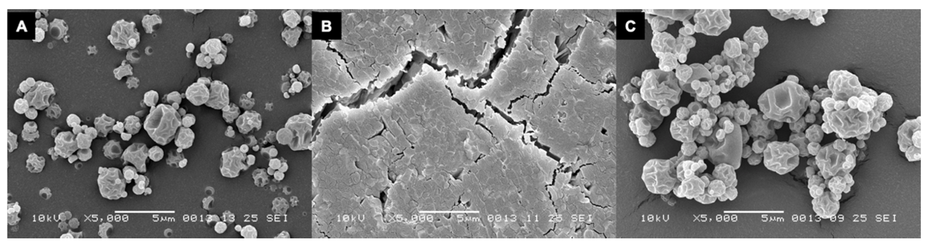 Pharmaceutics 12 00645 g004