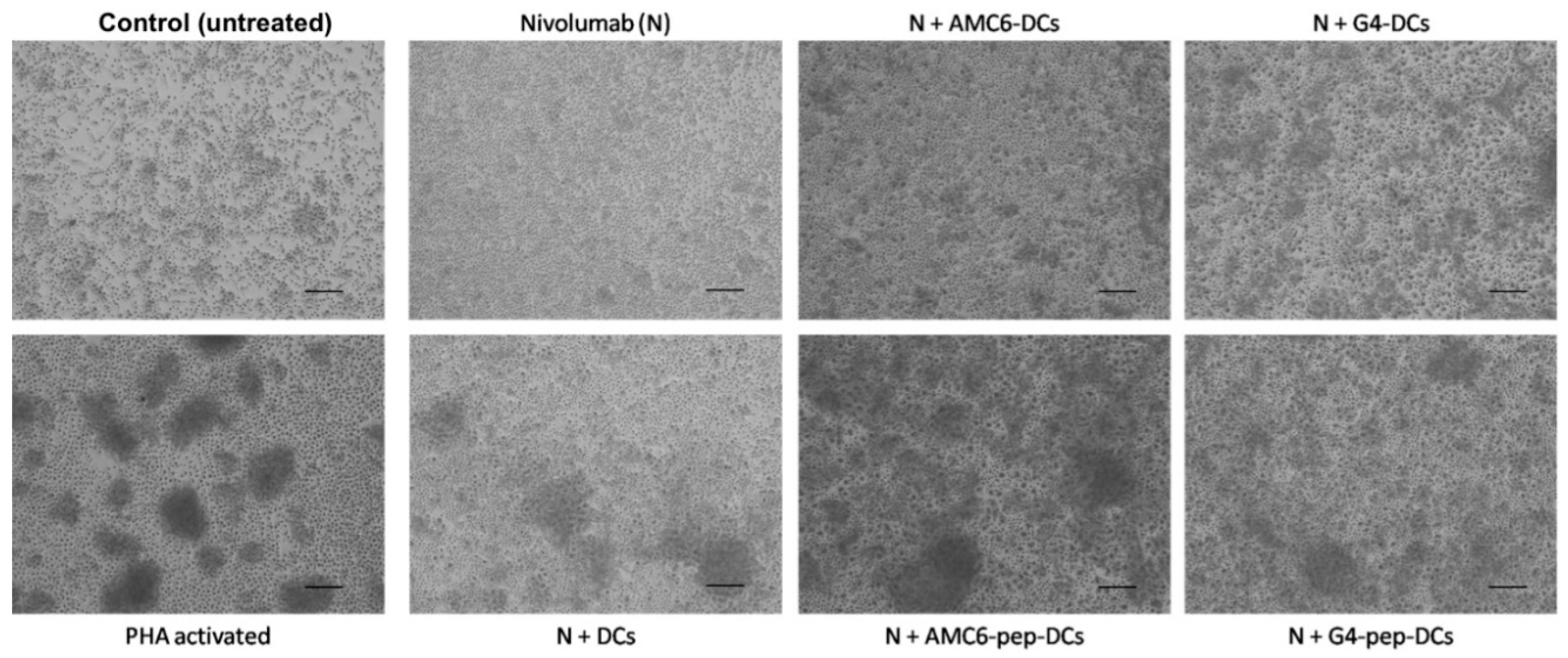 Pharmaceutics 12 00656 g006 Pharmaceutics 12 00656 g006
