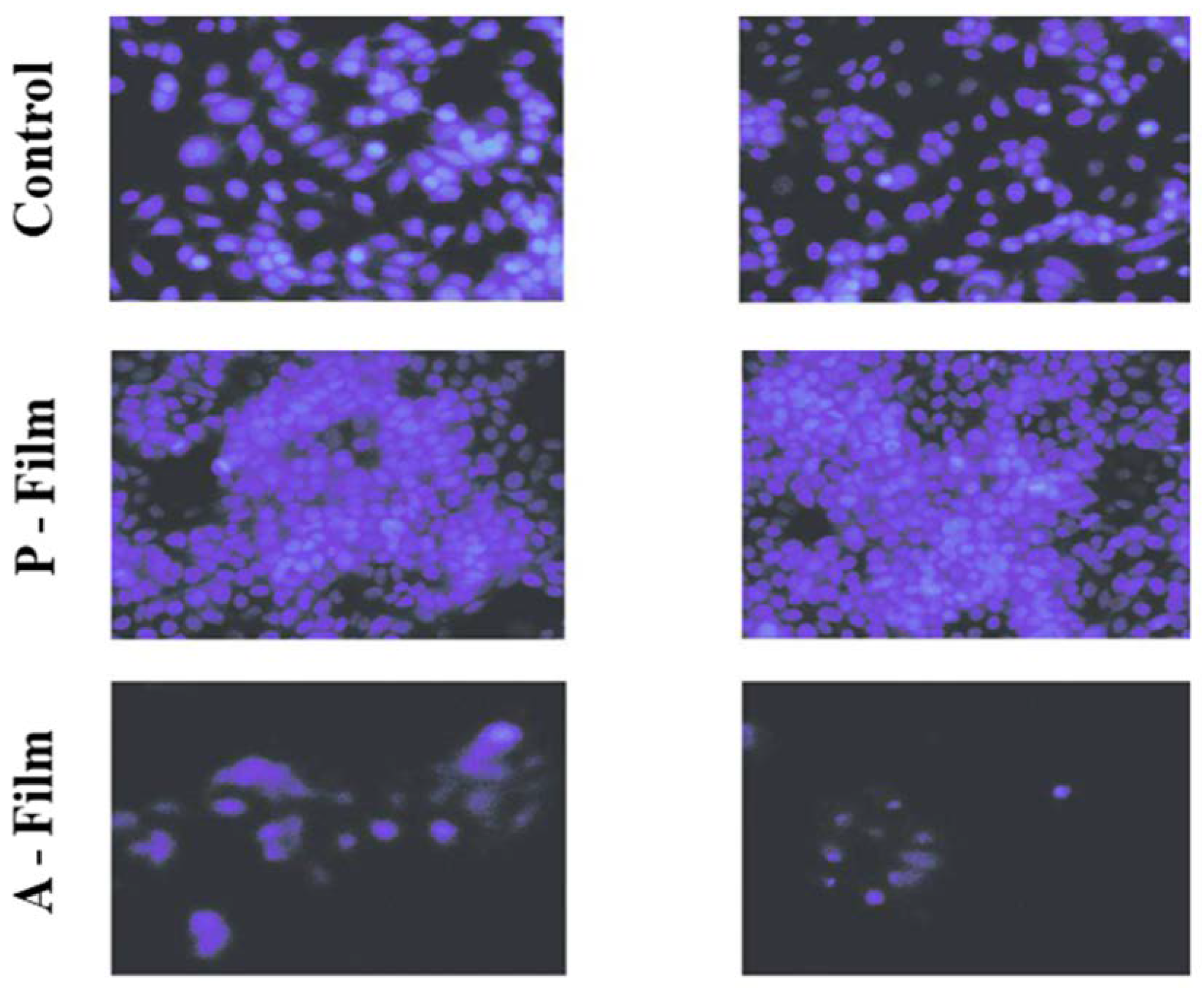Pharmaceutics 12 00657 g011