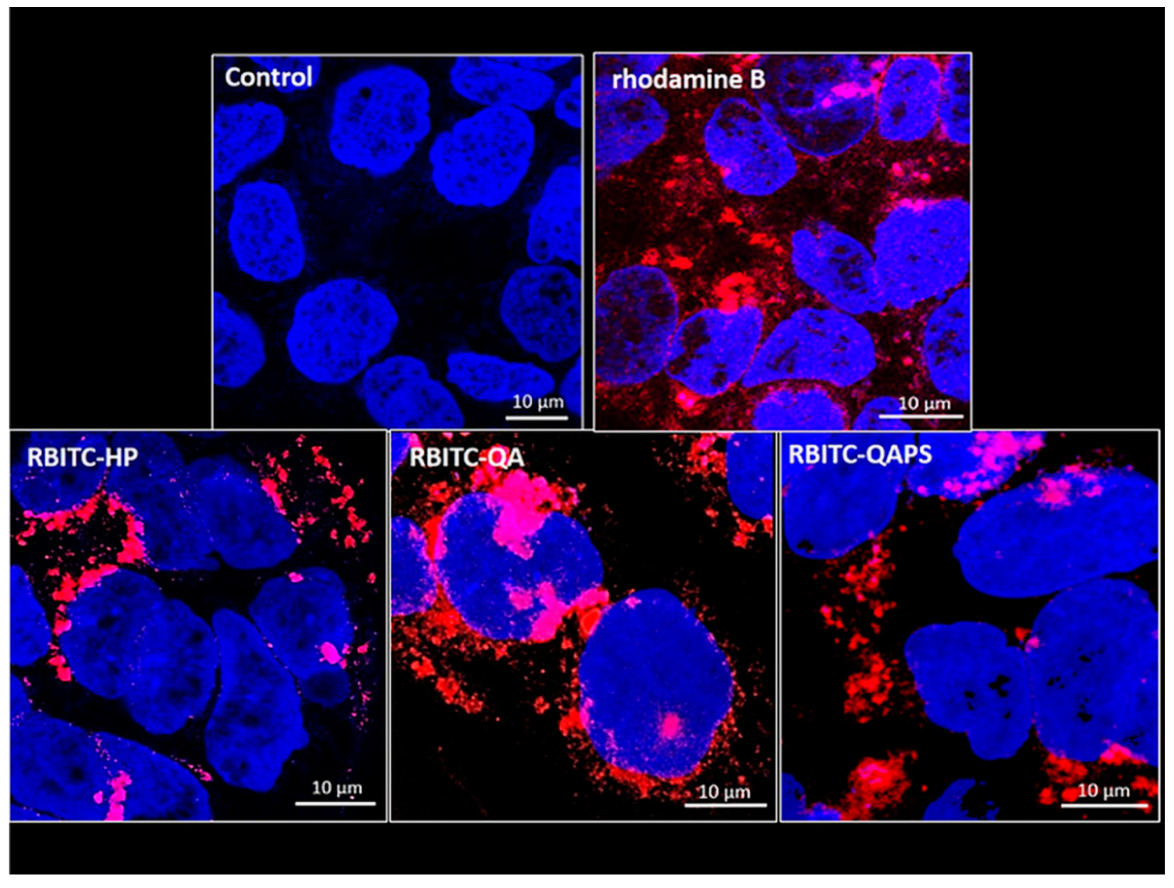 Pharmaceutics 12 00658 g003 Pharmaceutics 12 00658 g003