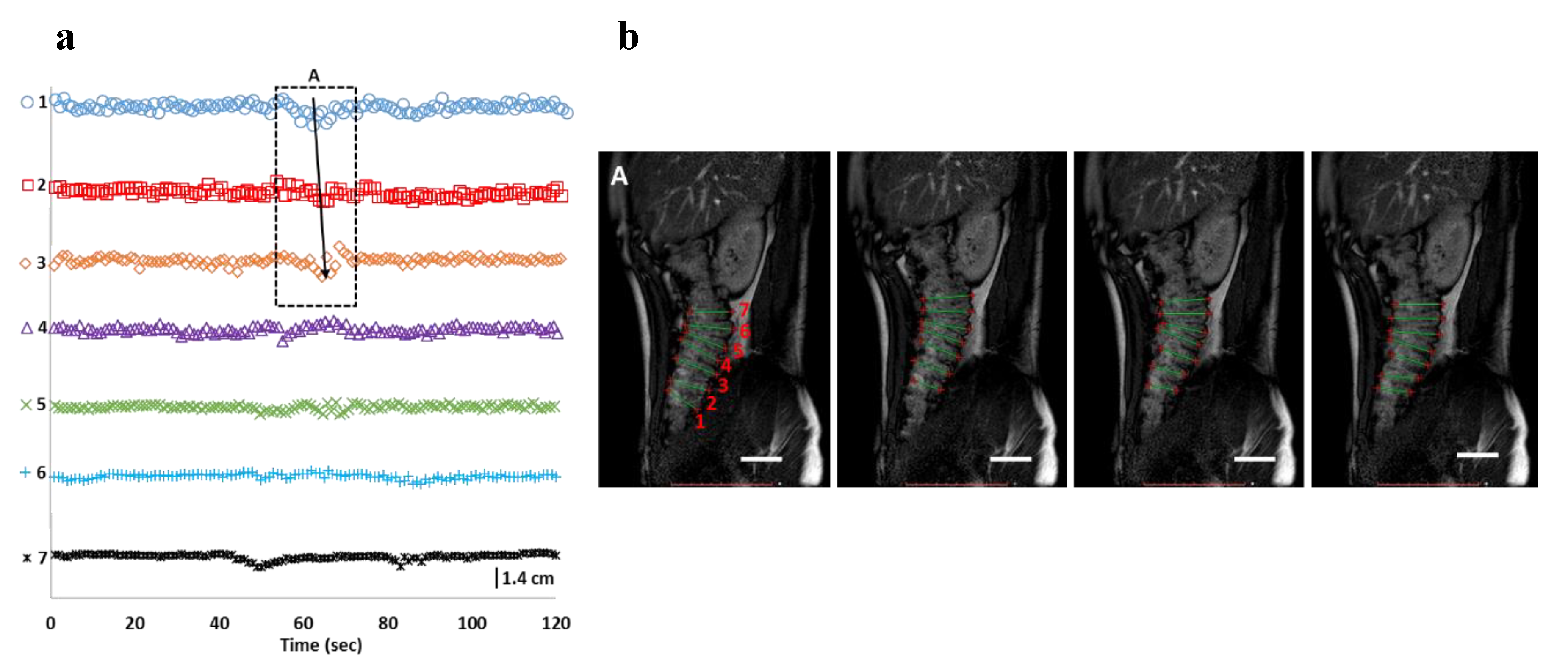 Pharmaceutics 12 00659 g001
