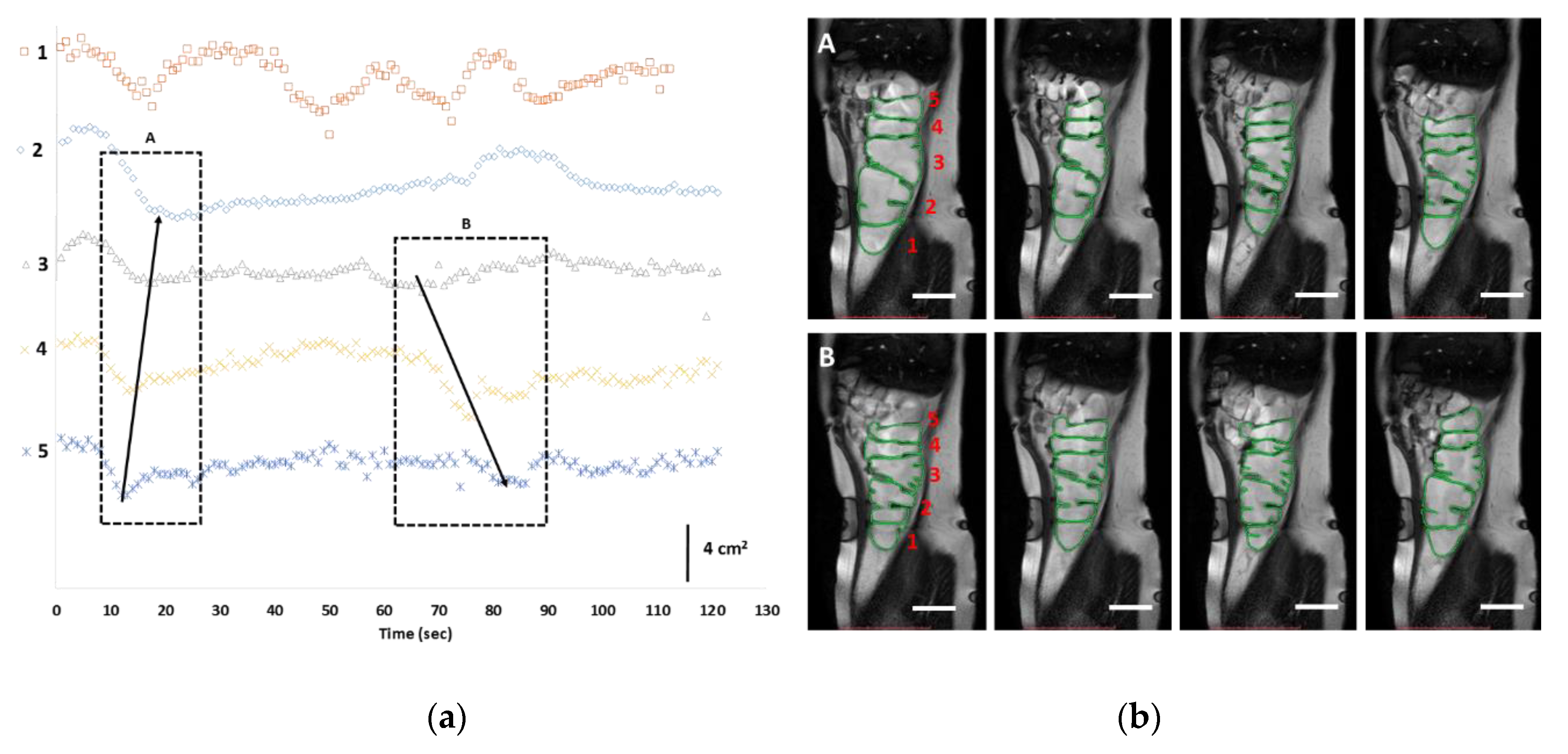 Pharmaceutics 12 00659 g002