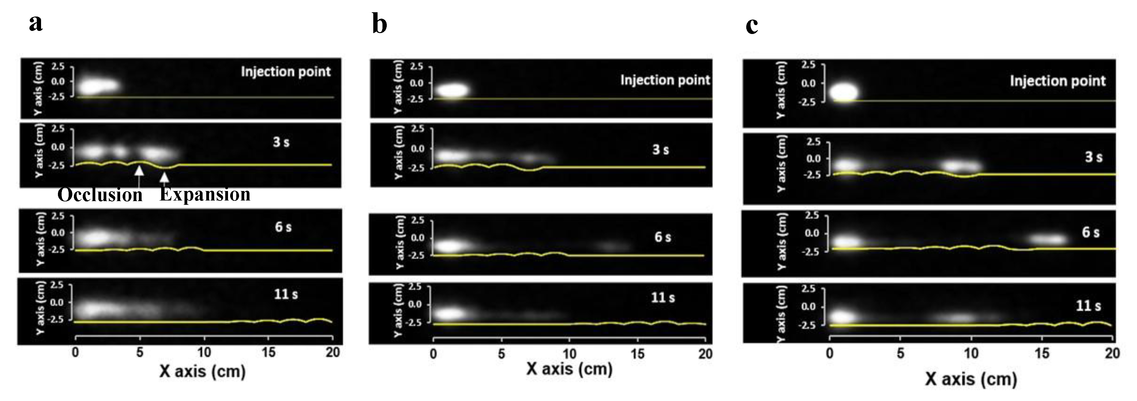 Pharmaceutics 12 00659 g006