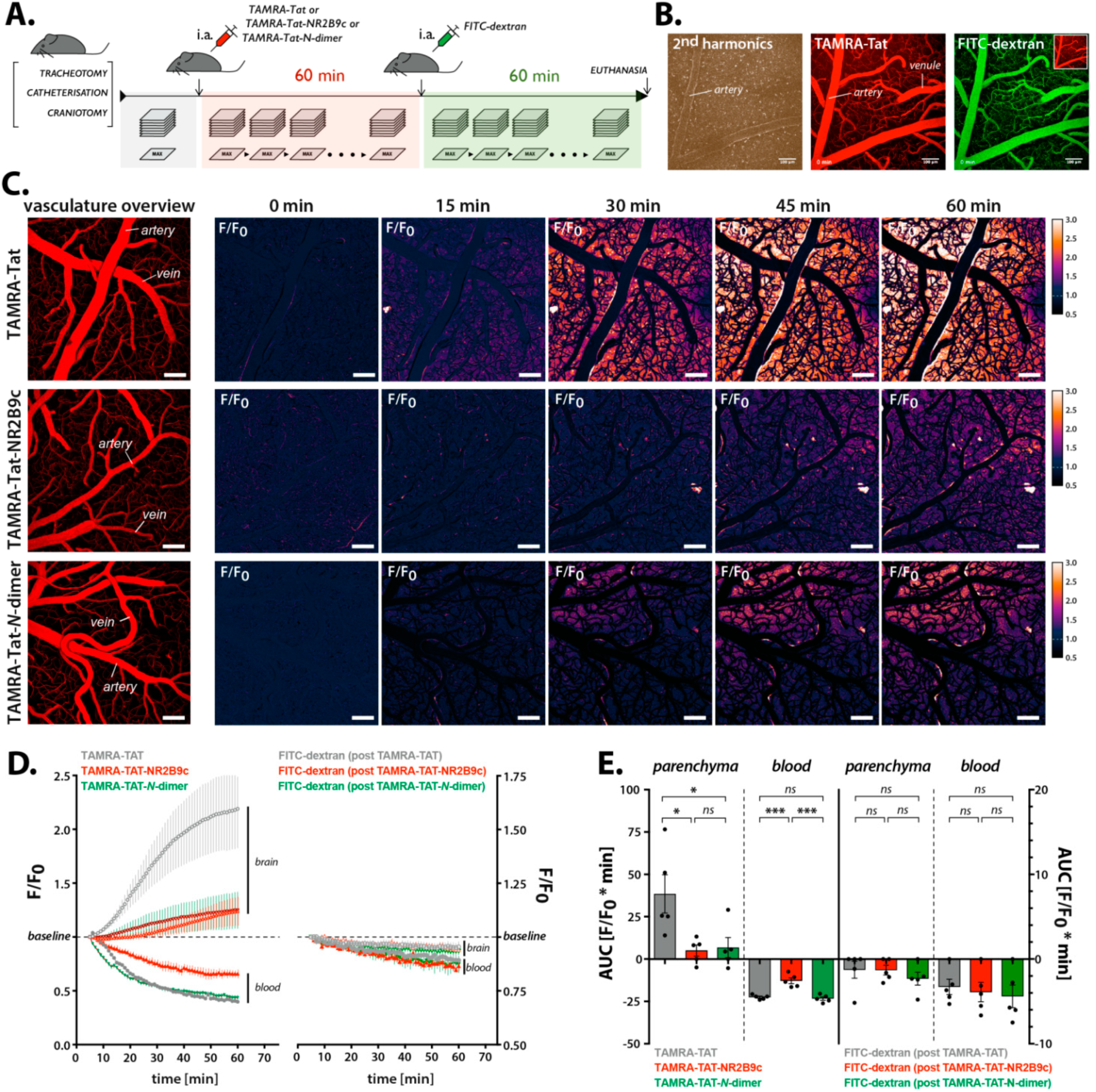 Pharmaceutics 12 00661 g005