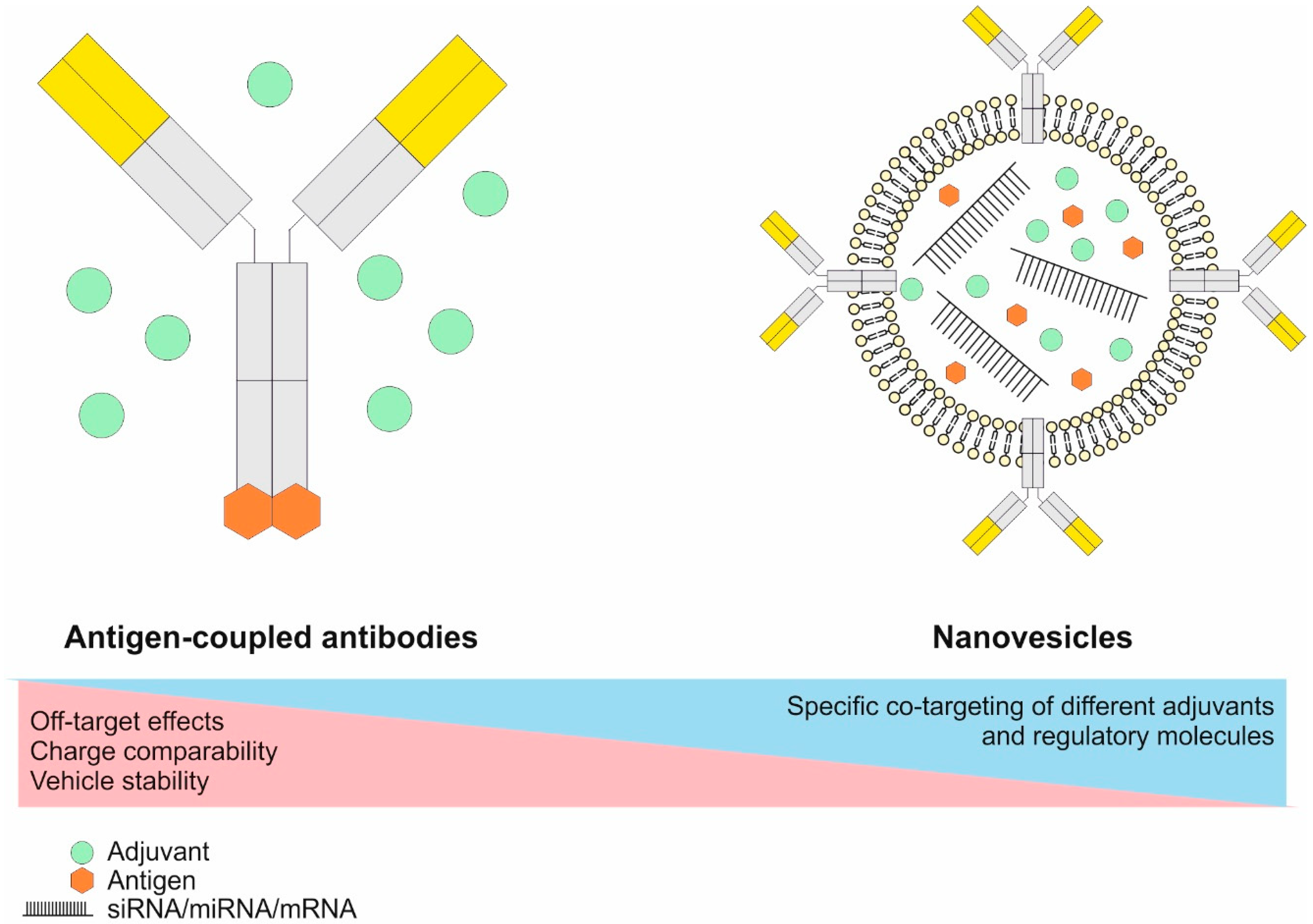 Bourgogne hjælpeløshed nøgle Pharmaceutics | Free Full-Text | Harnessing the Complete Repertoire of  Conventional Dendritic Cell Functions for Cancer Immunotherapy | HTML