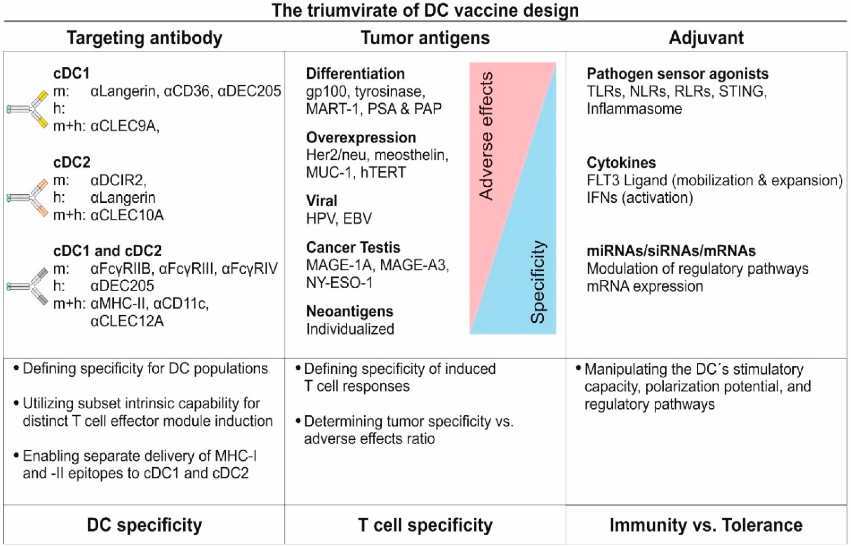 Pharmaceutics 12 00663 g004 Pharmaceutics 12 00663 g004