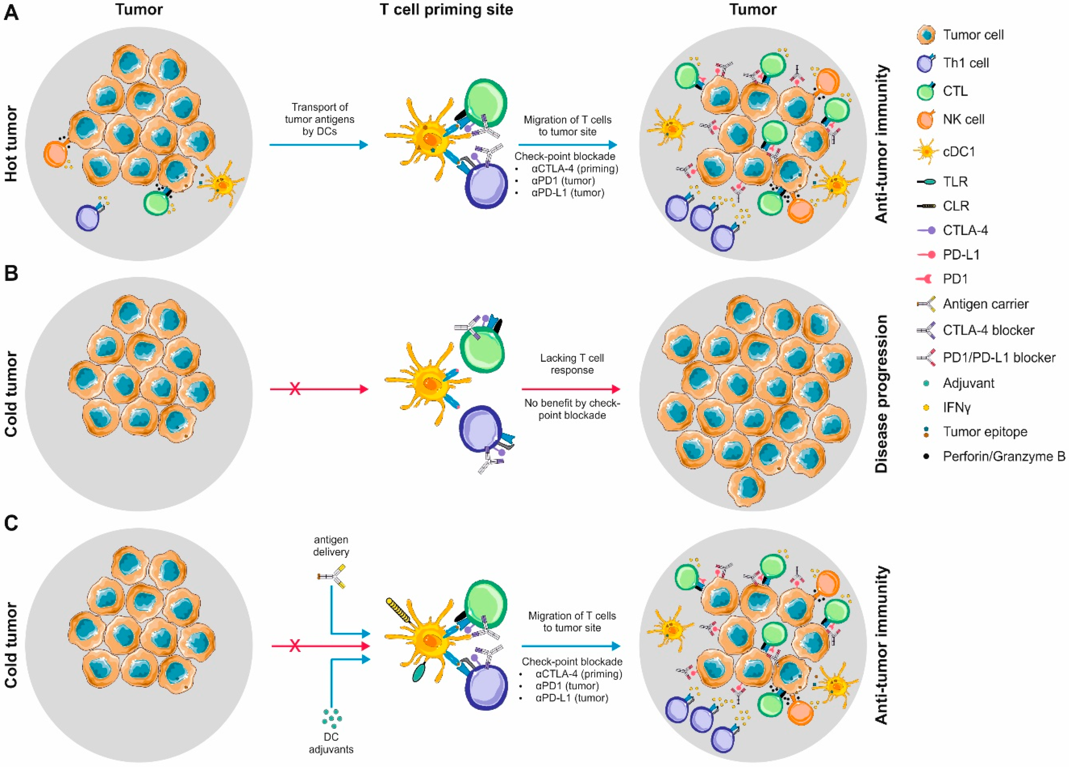 Bourgogne hjælpeløshed nøgle Pharmaceutics | Free Full-Text | Harnessing the Complete Repertoire of  Conventional Dendritic Cell Functions for Cancer Immunotherapy | HTML