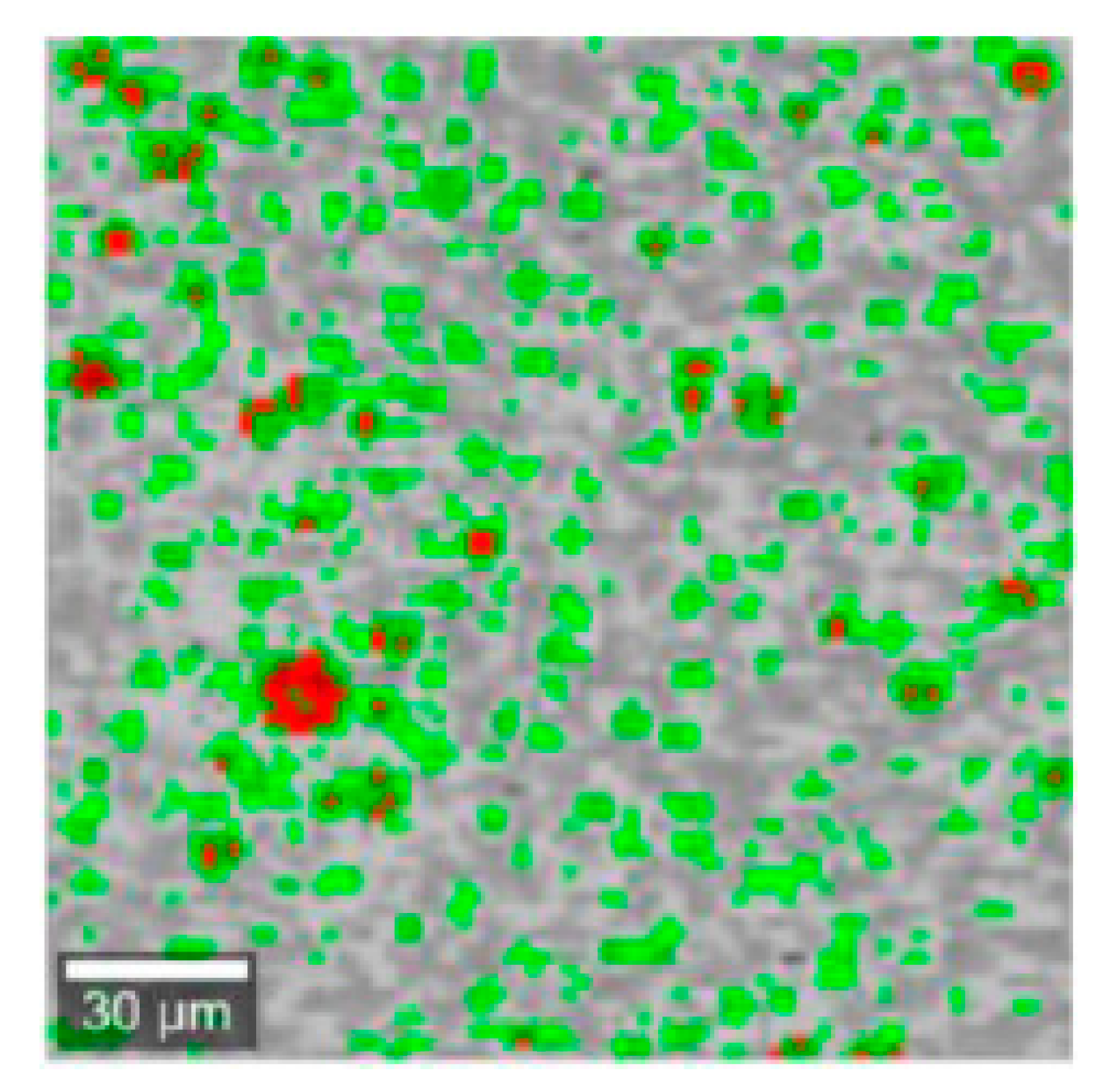 Pharmaceutics 12 00664 g006