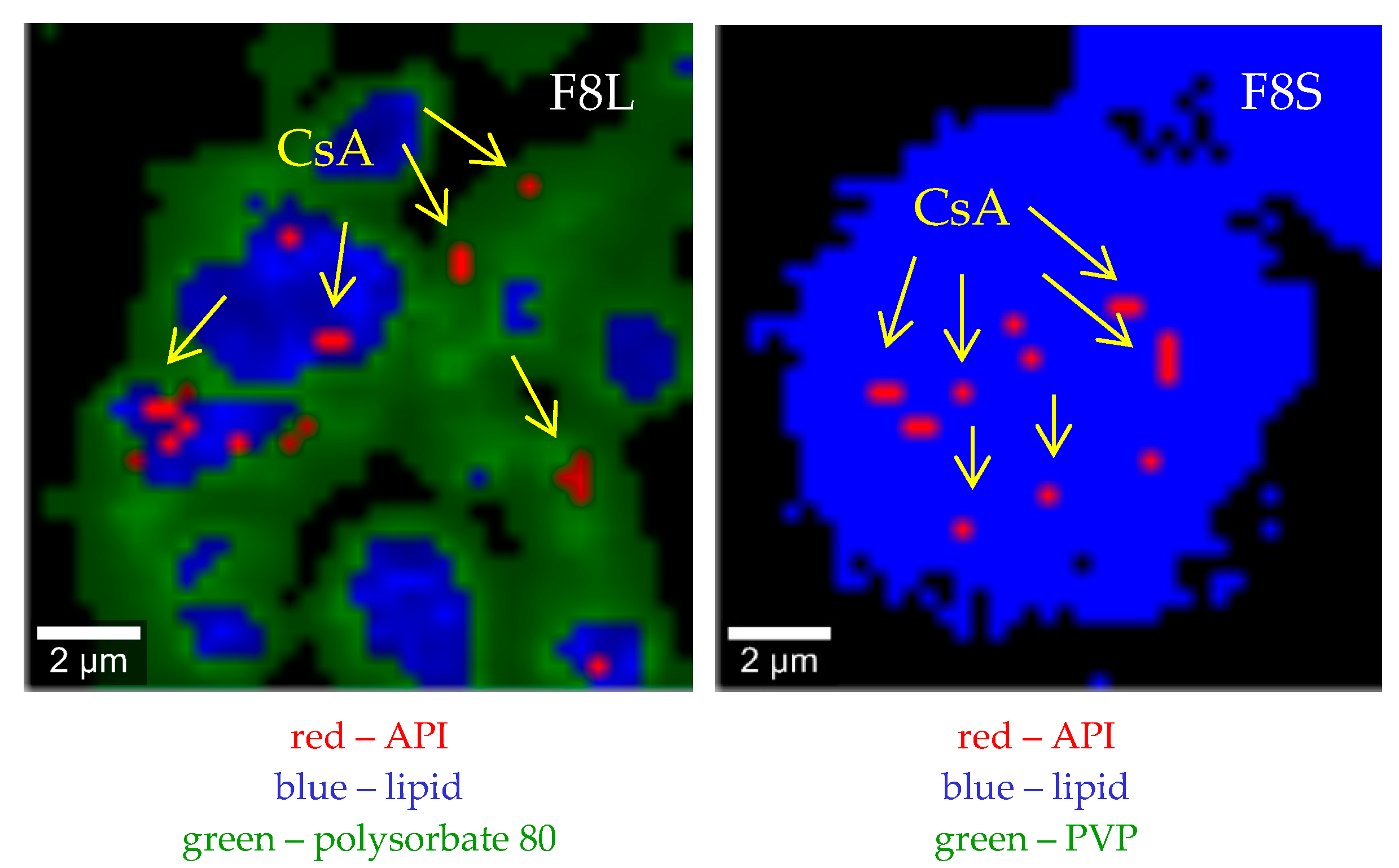 Pharmaceutics 12 00664 g007b